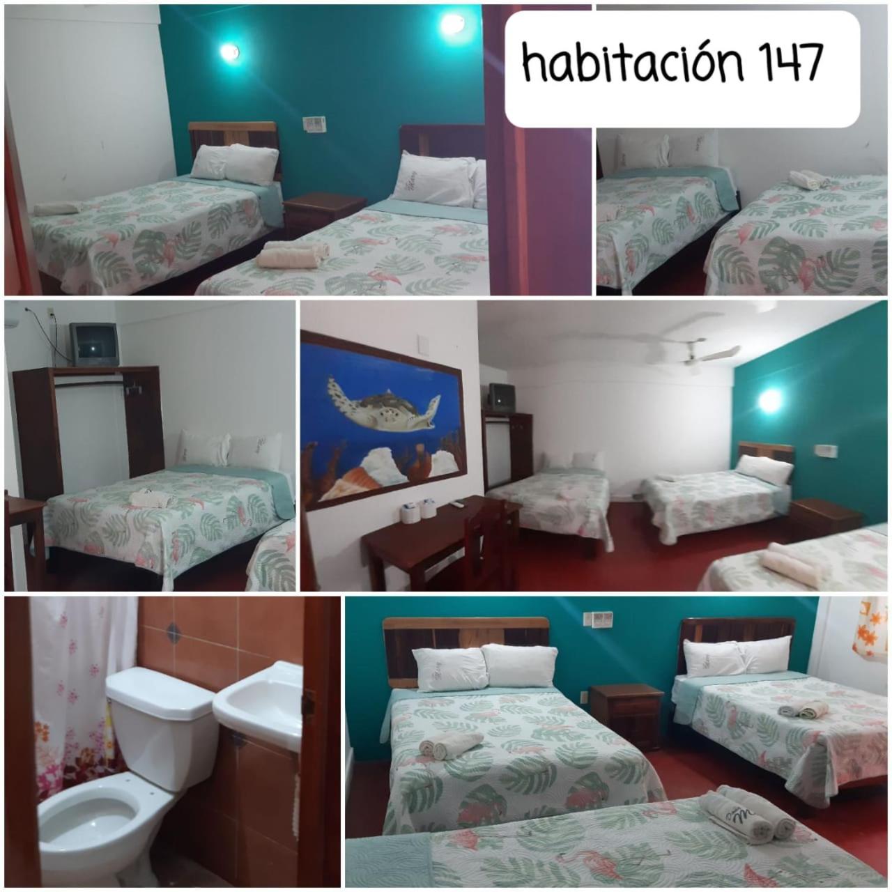 Triple Room photo 1