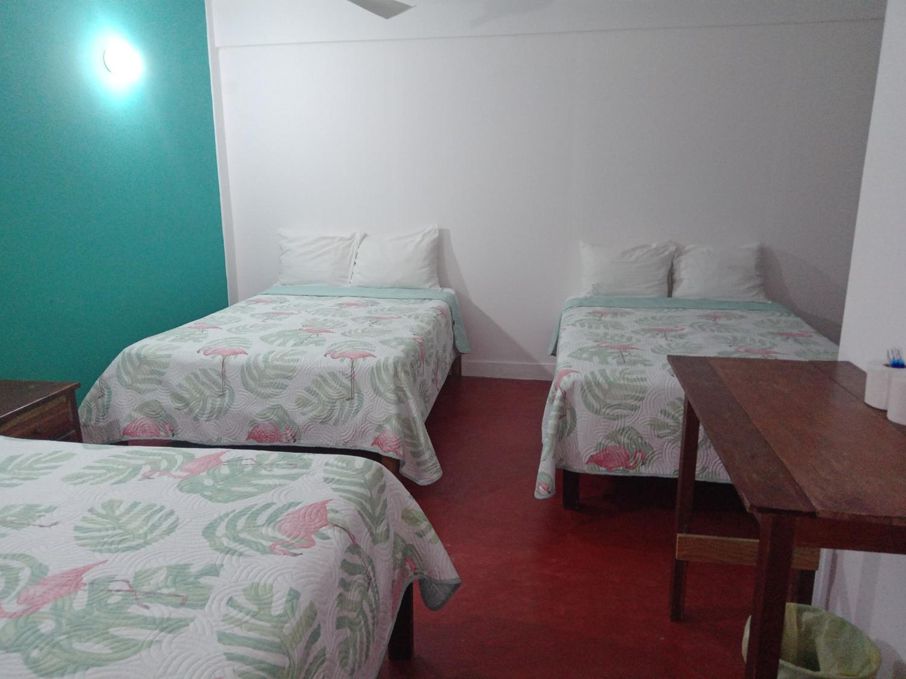 Triple Room photo 2