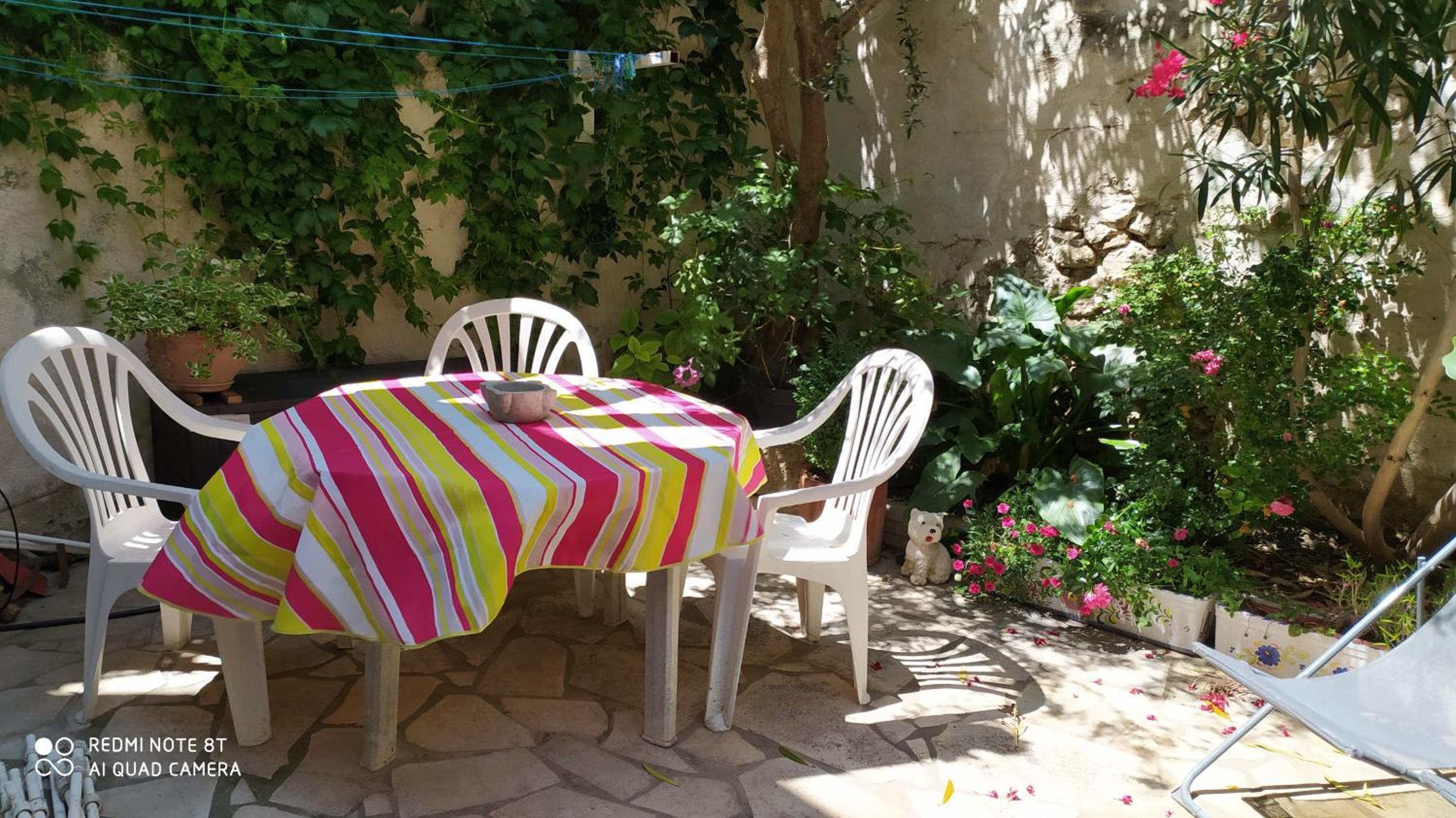 Studio with Terrace - Photo 3