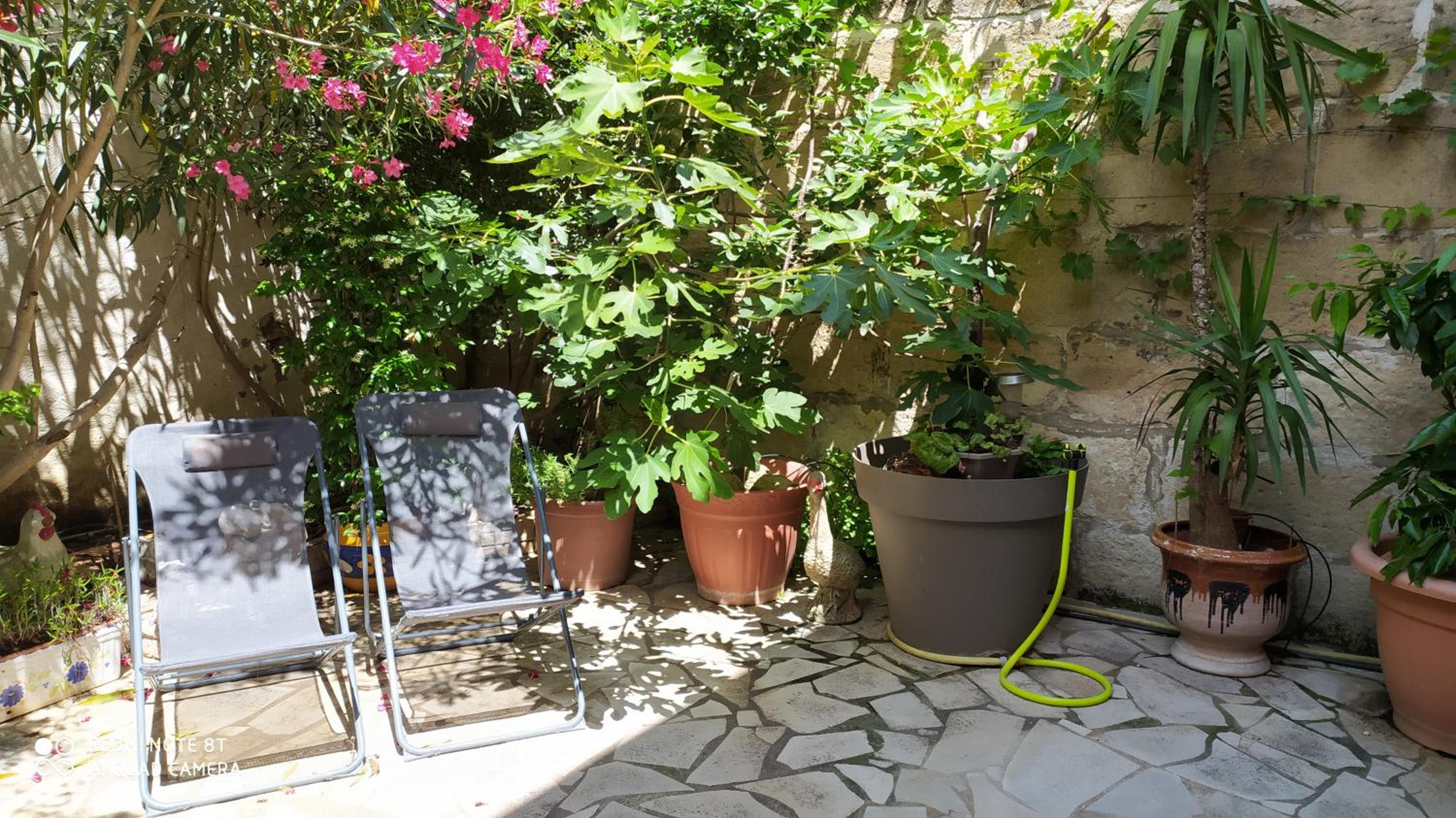 Studio with Terrace - Photo 4