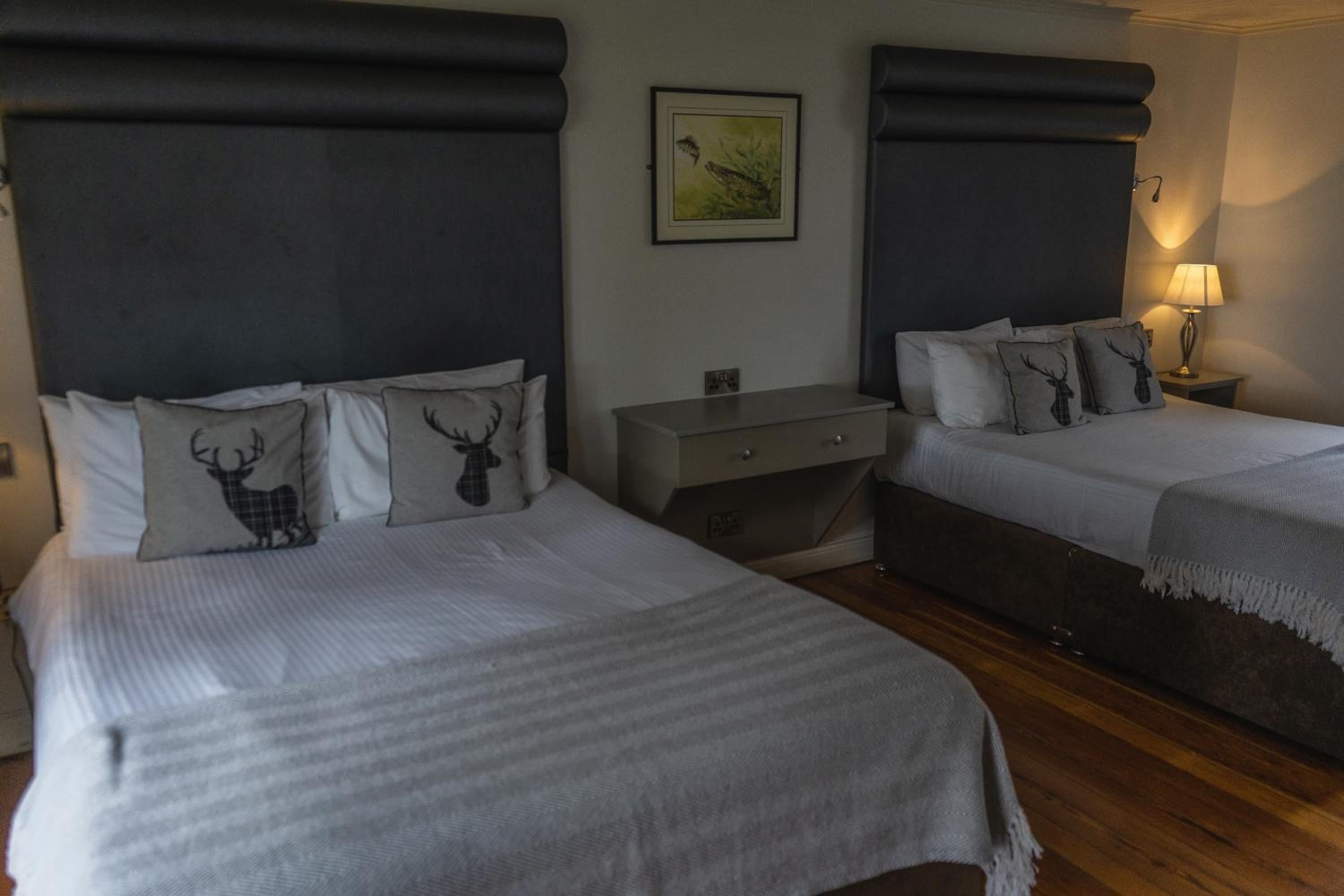 Deluxe Twin Room photo 2