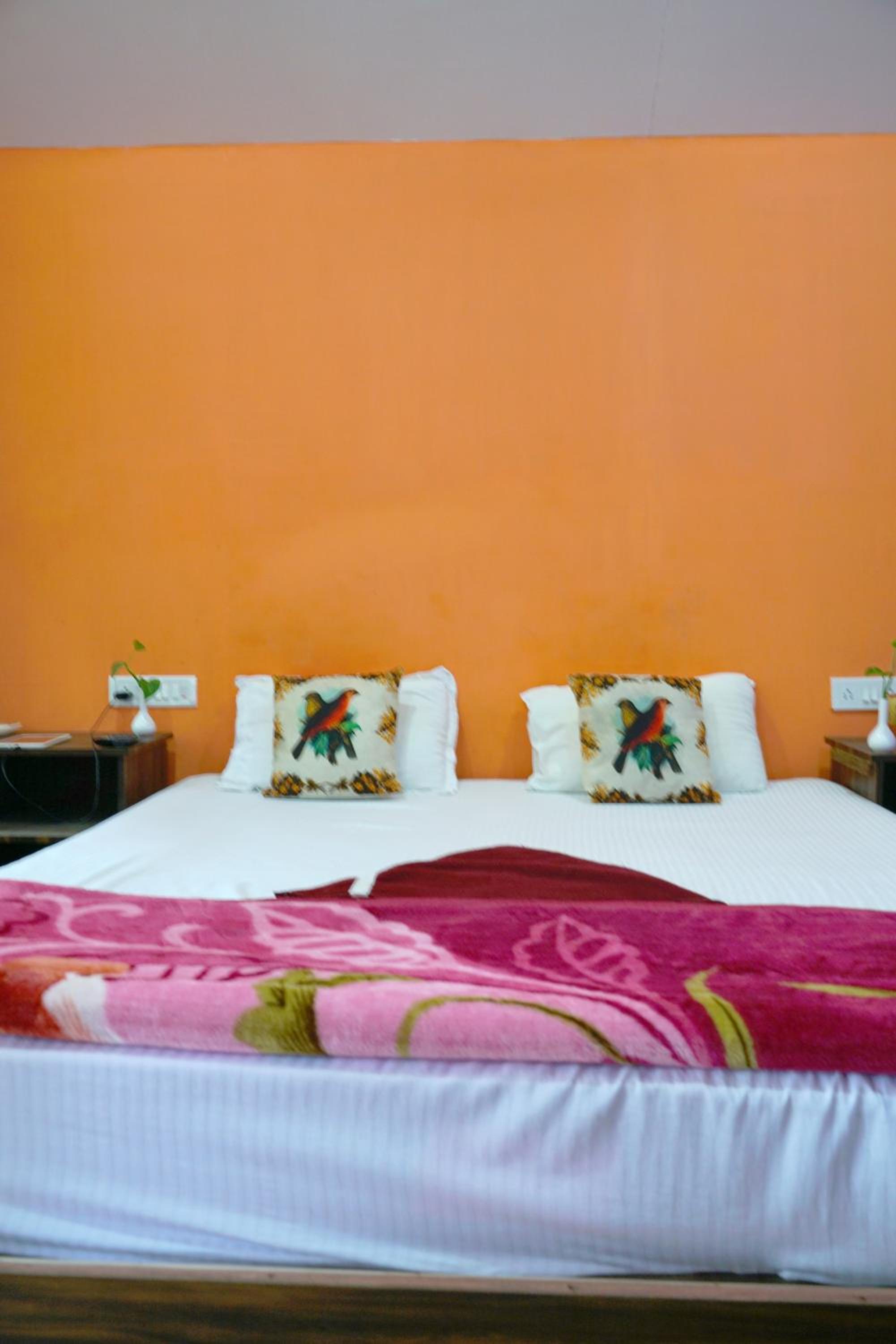 Deluxe Room photo 2
