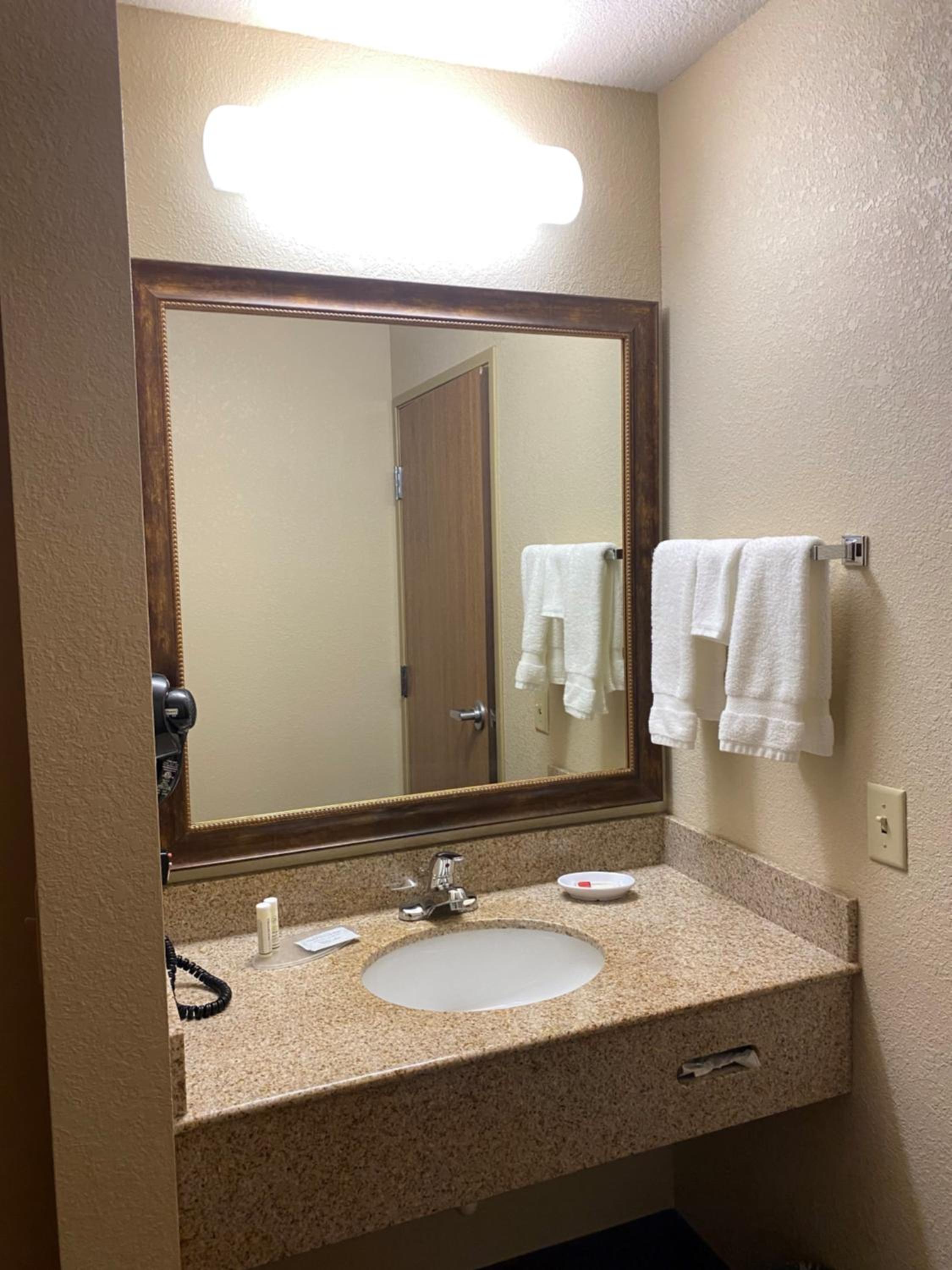 Deluxe King Suite - Non-Smoking photo 2