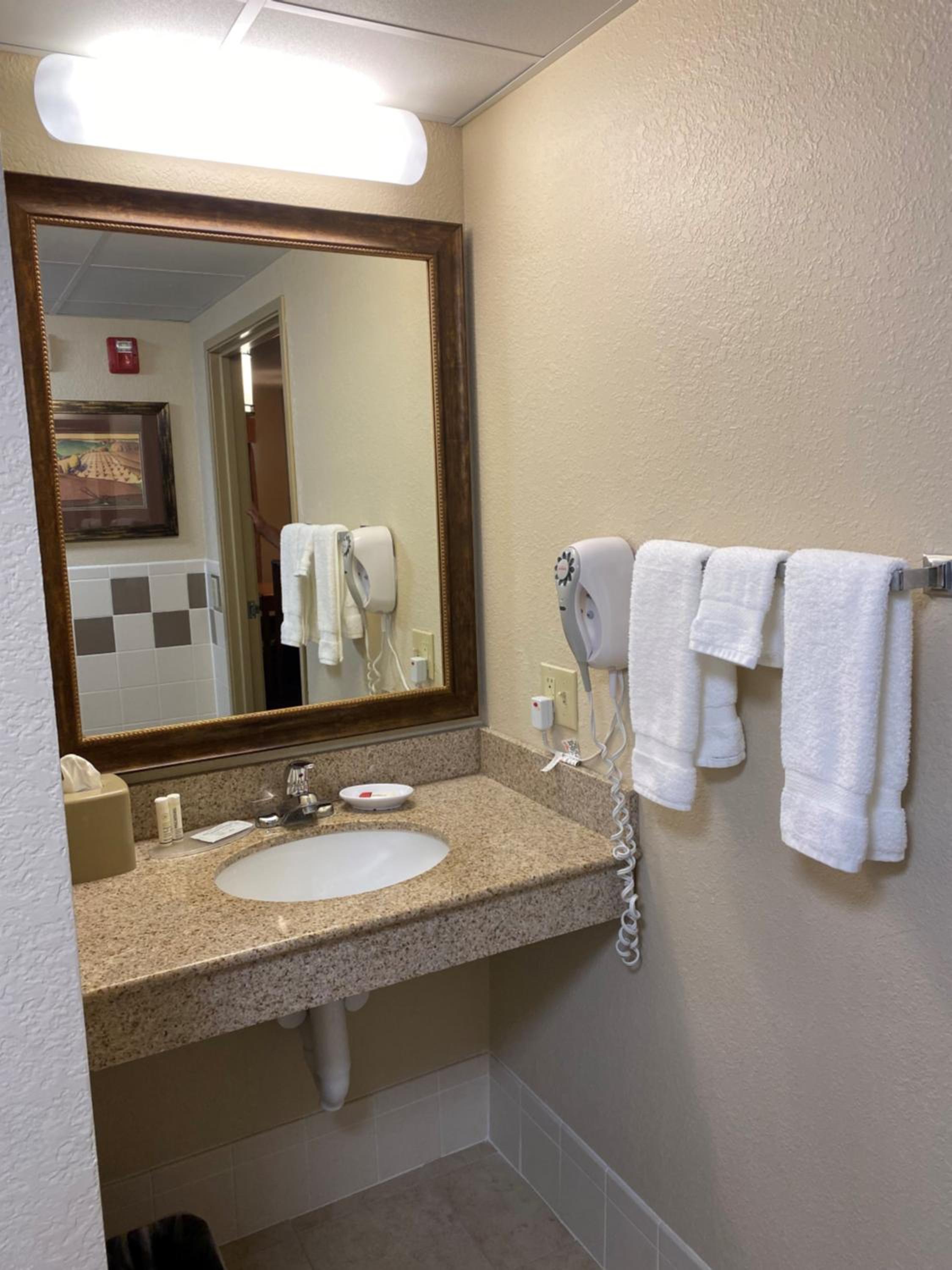 Deluxe King Suite - Non-Smoking photo 3