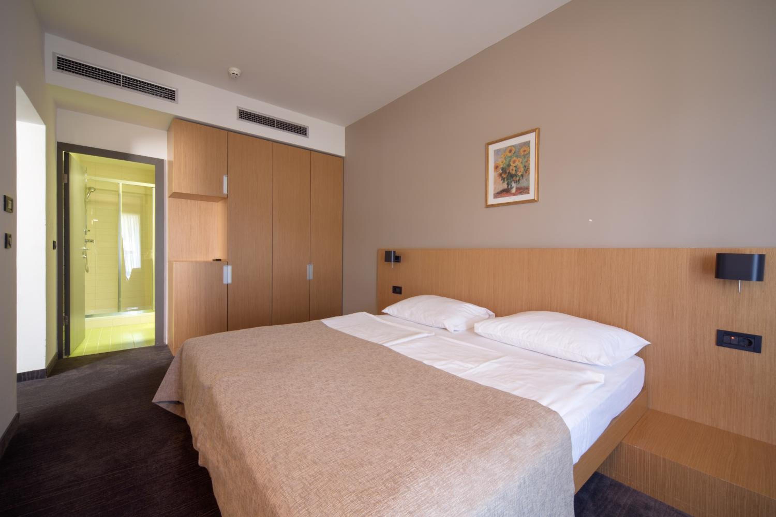 Special Offer - Economy Double Room With All Inclusive Light Package photo 1