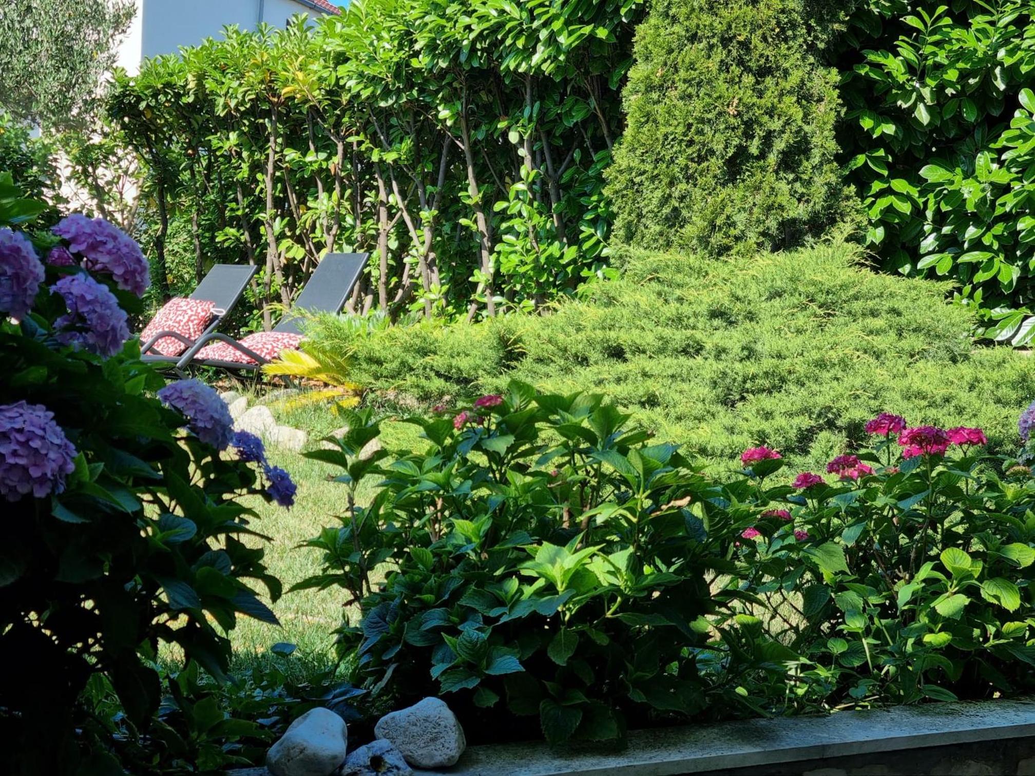 Apartment with Garden View photo 2