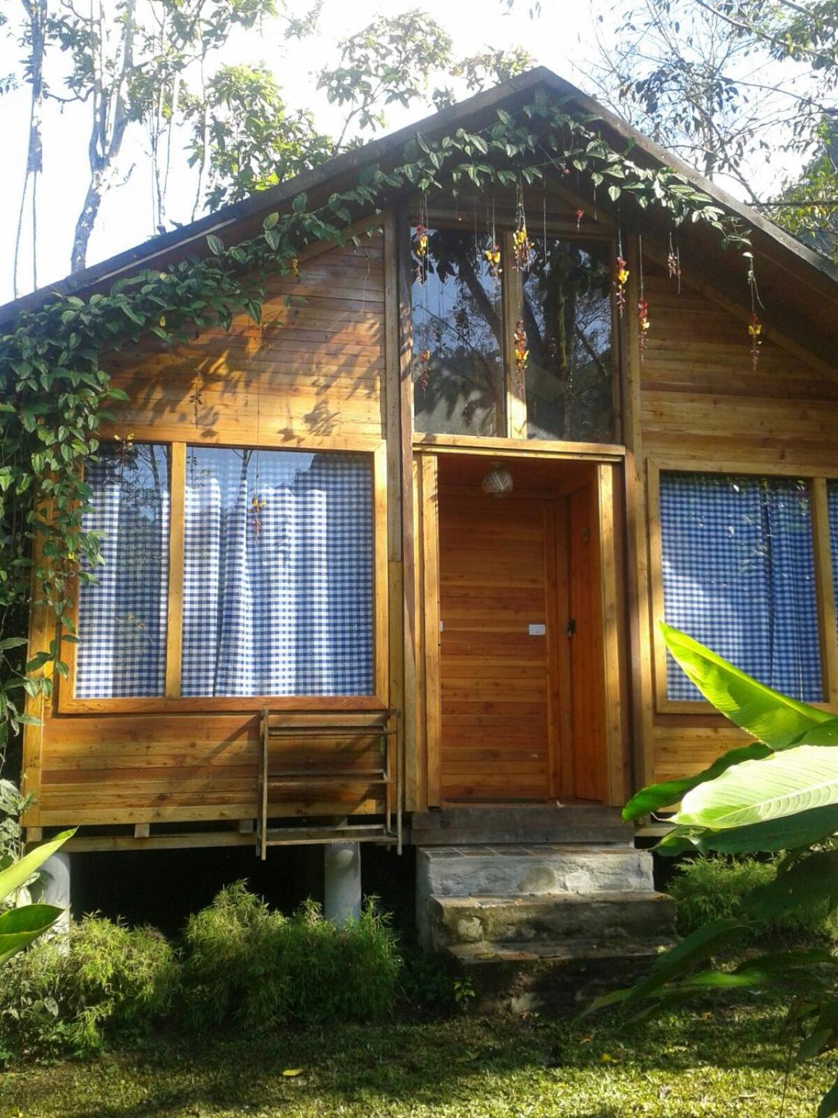 Chalet photo 1