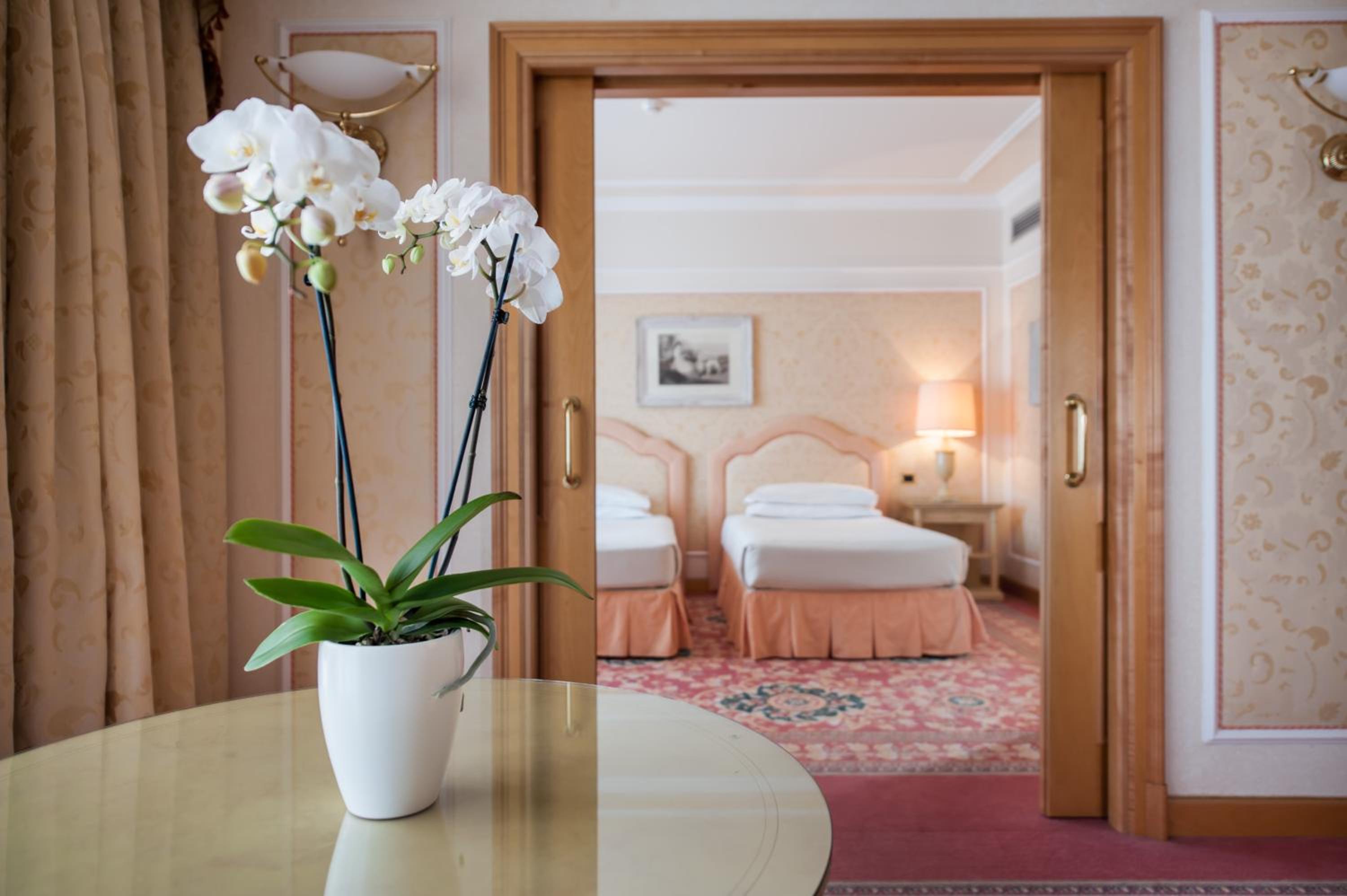 Suite - Photo 1