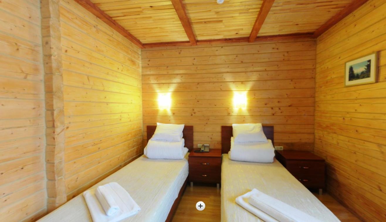 Twin Room with Balcony and Mountain View photo 2