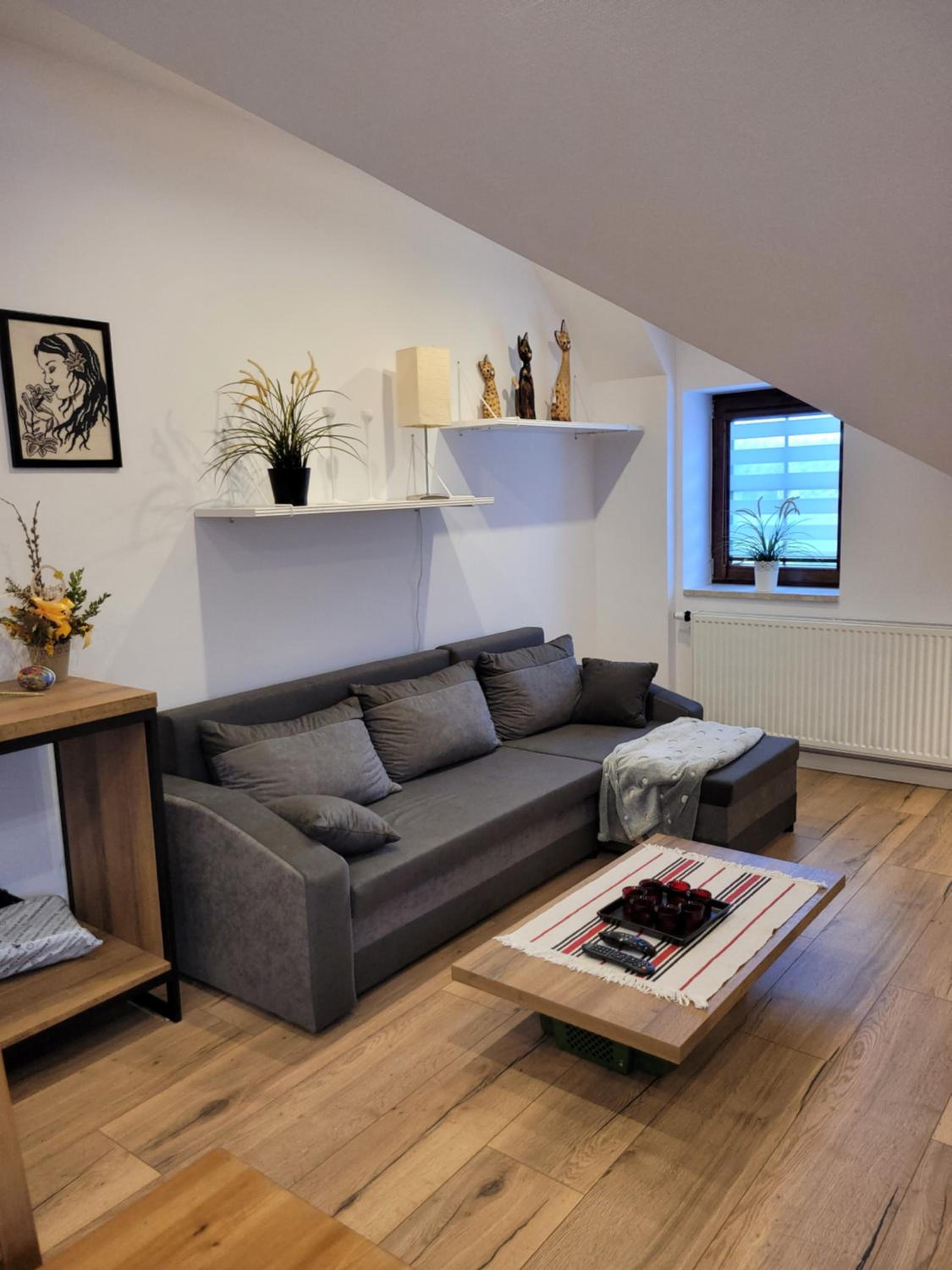 One-Bedroom Apartment photo 3