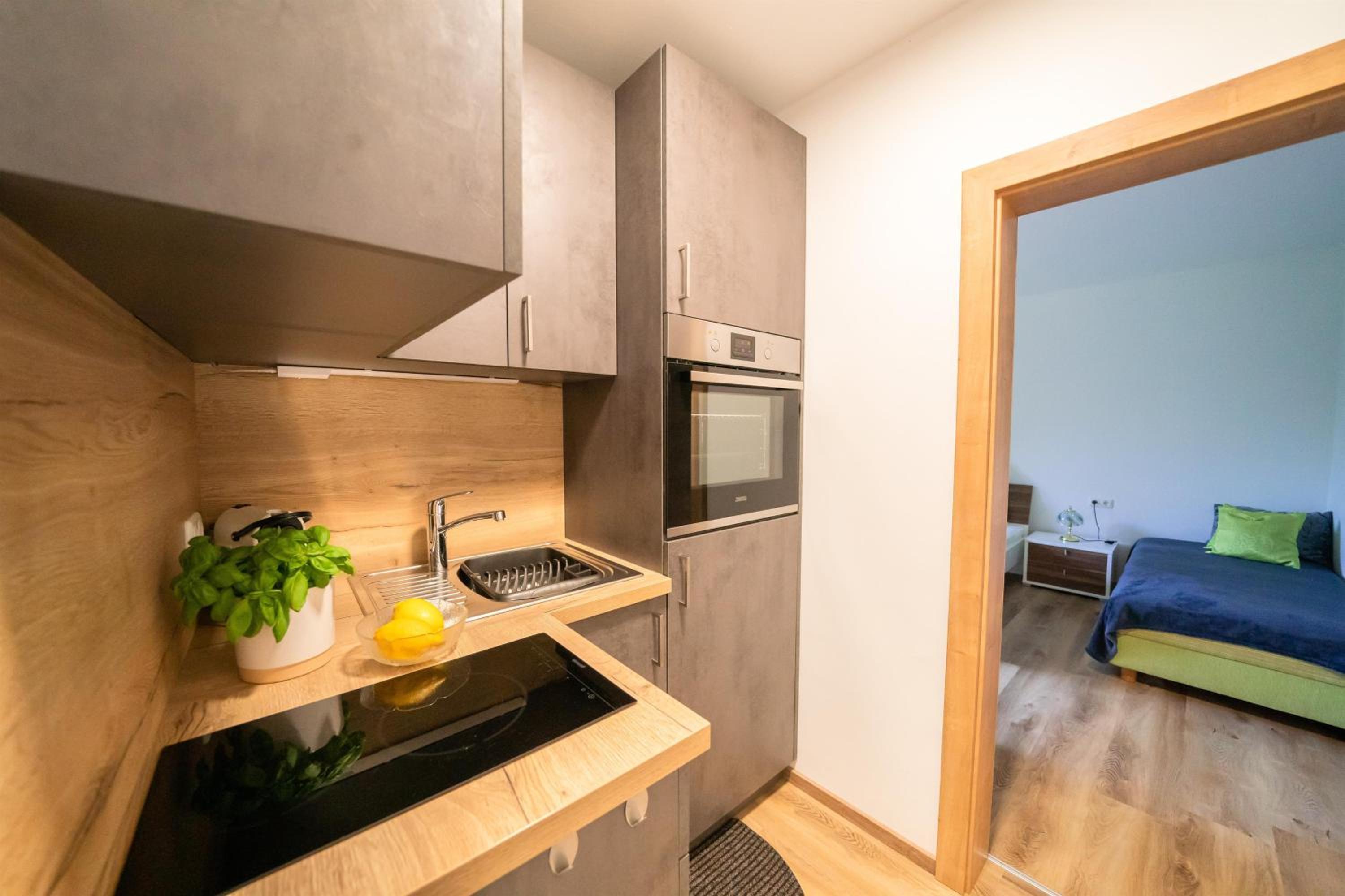 One-Bedroom Apartment with Shower photo 3