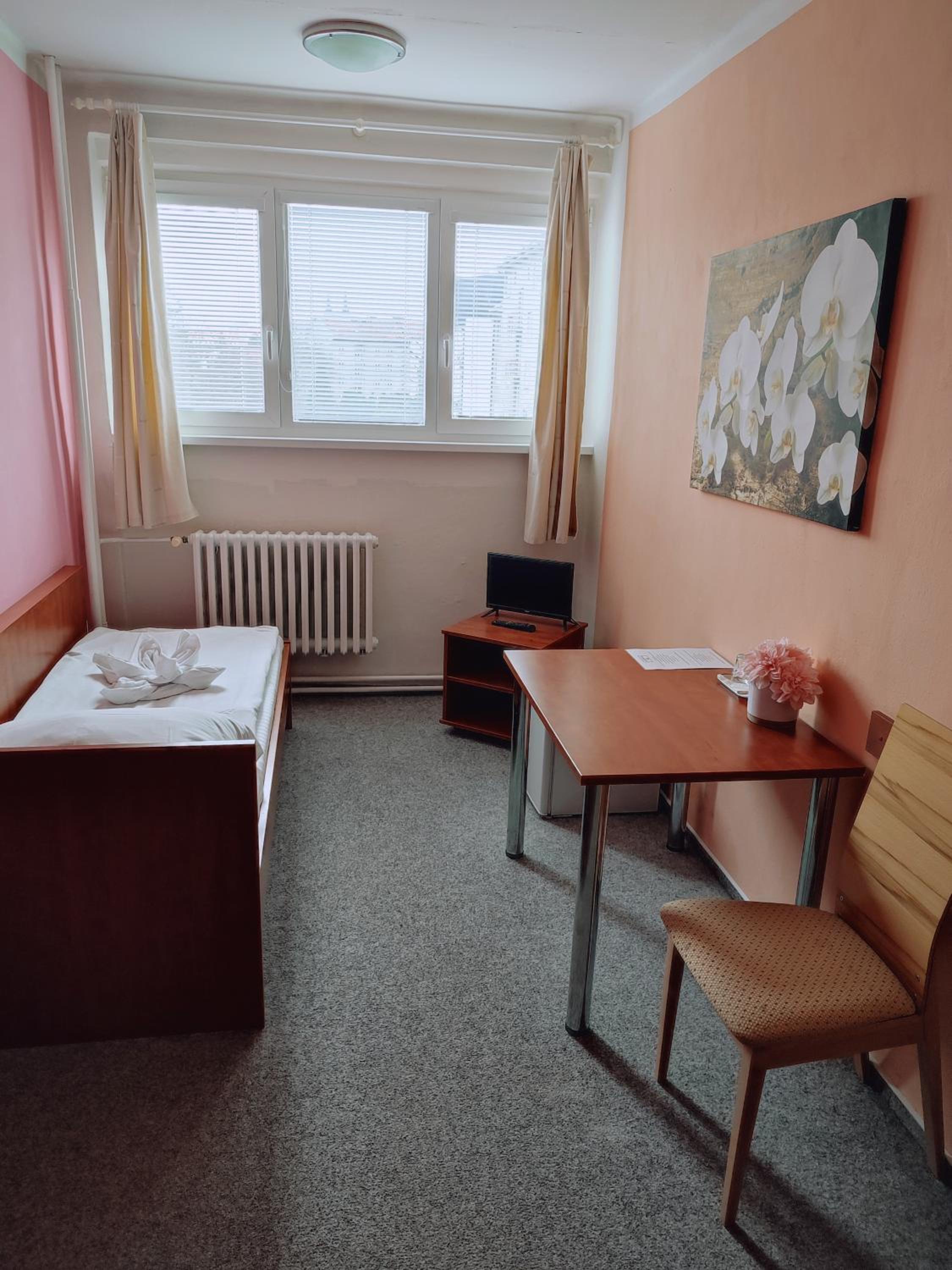 Economy Lux Single Room photo 1