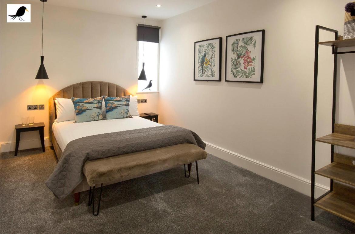 One-Bedroom Apartment - Photo 5