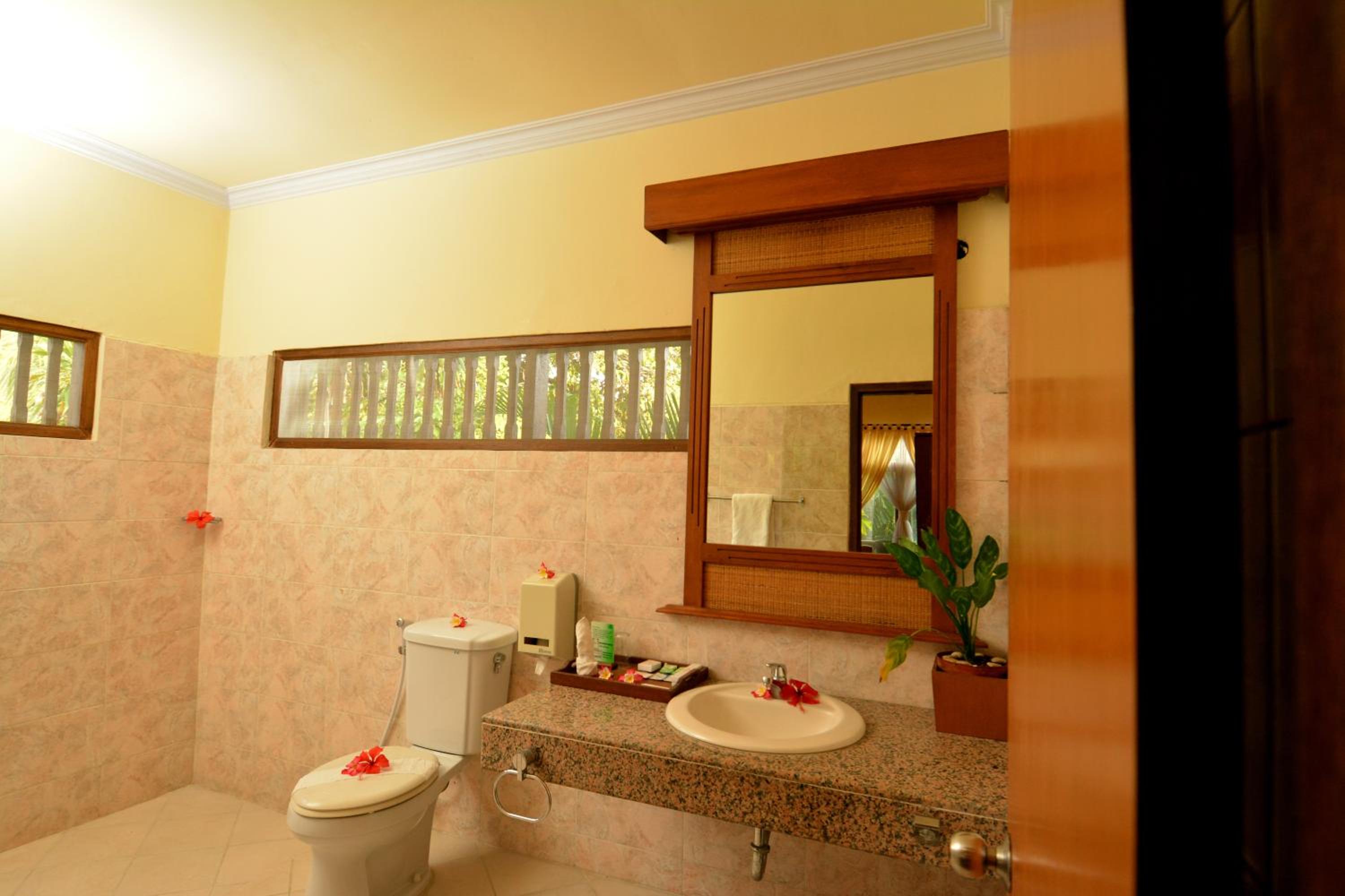Superior Double or Twin Room - Photo 10