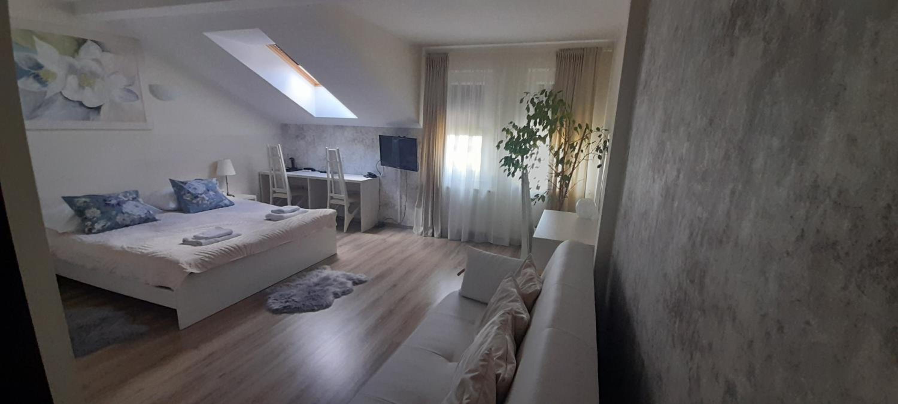 Junior Suite photo 2