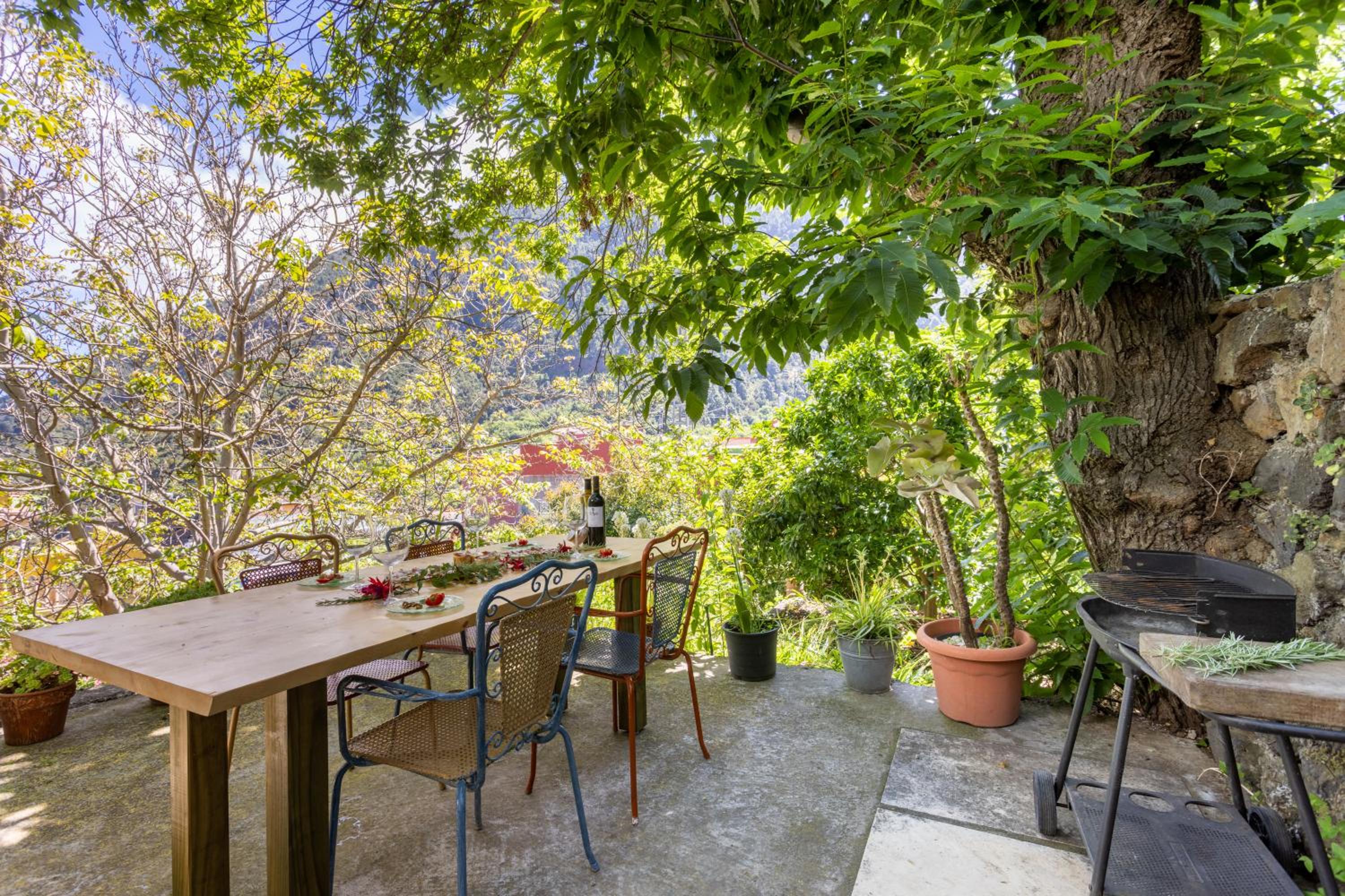 Vacation Home photo 3