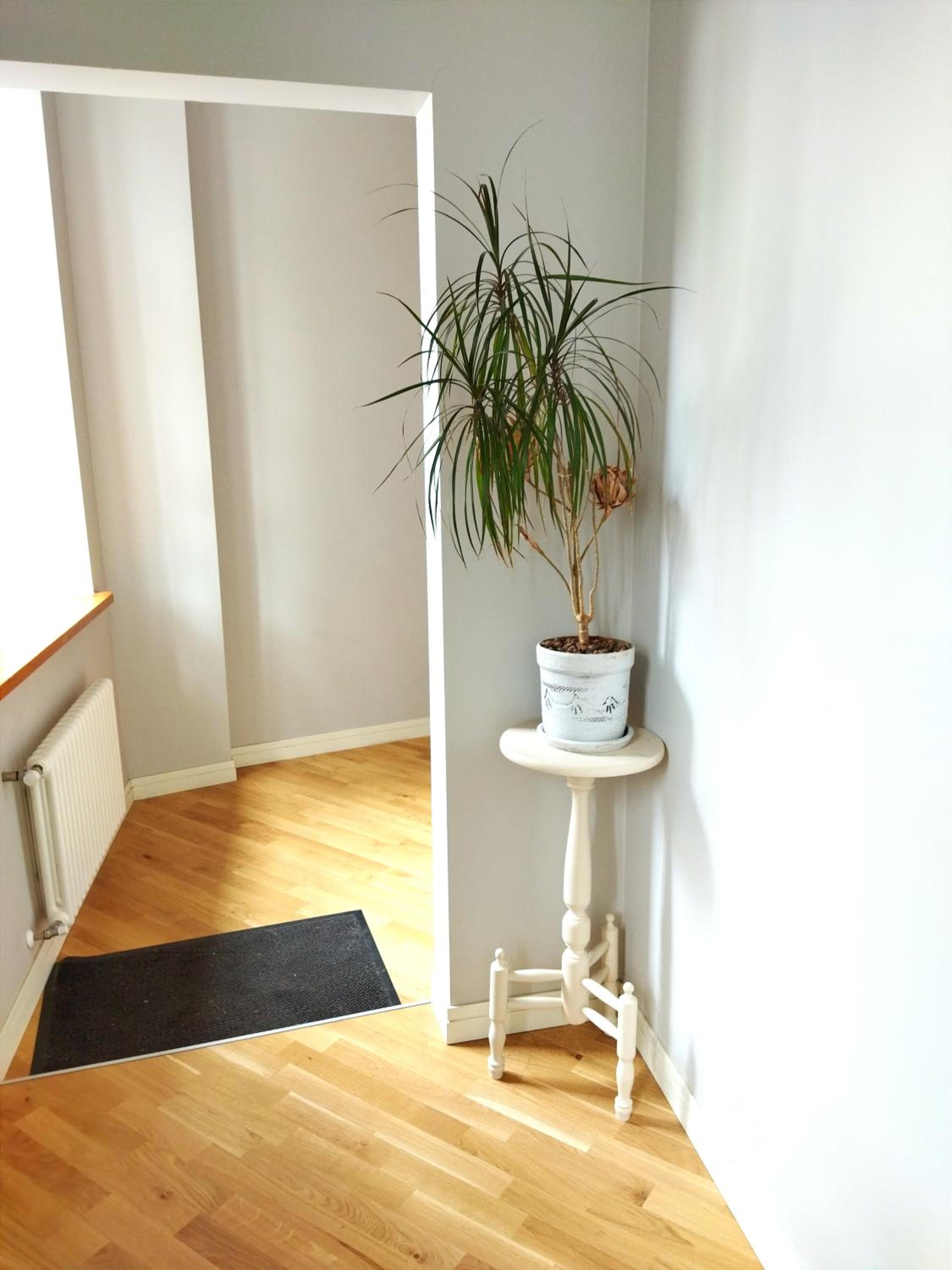 One-Bedroom Apartment - Photo 23
