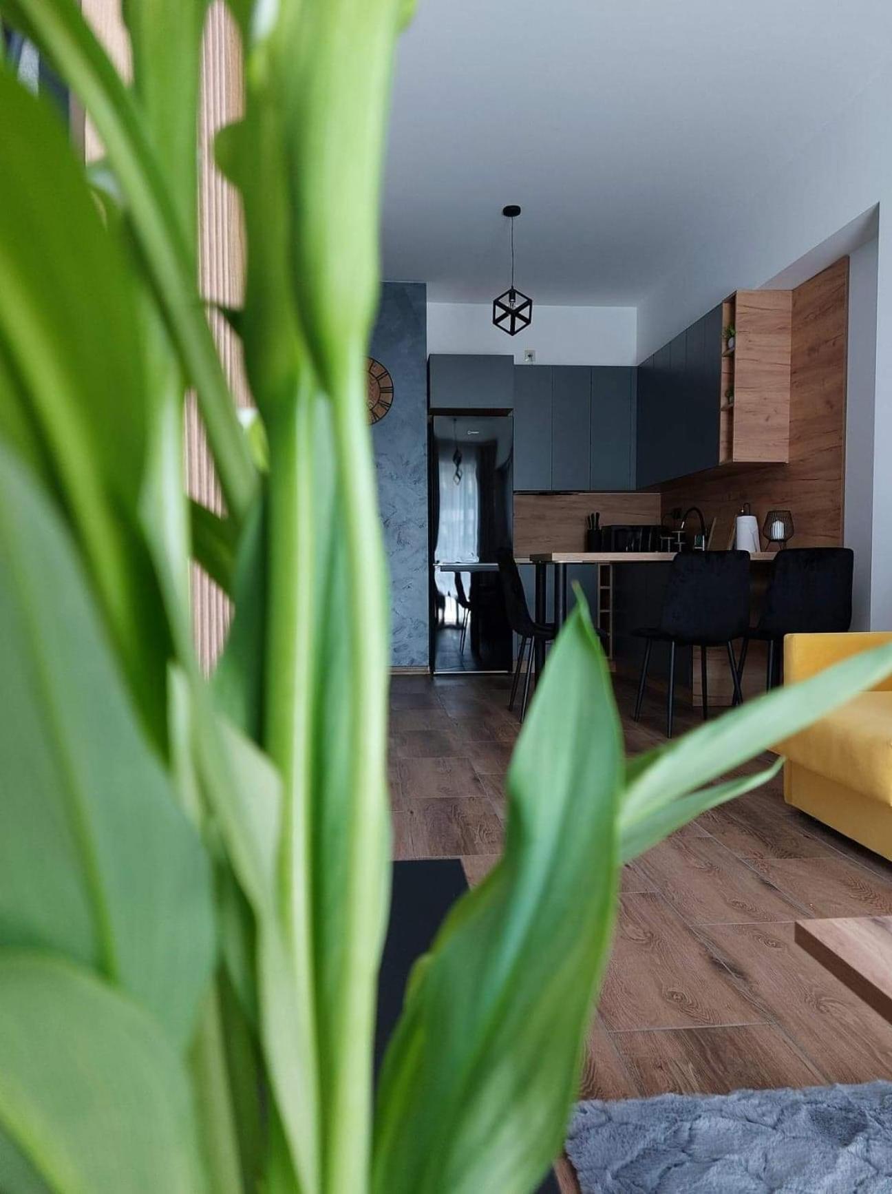 One-Bedroom Apartment - Photo 18