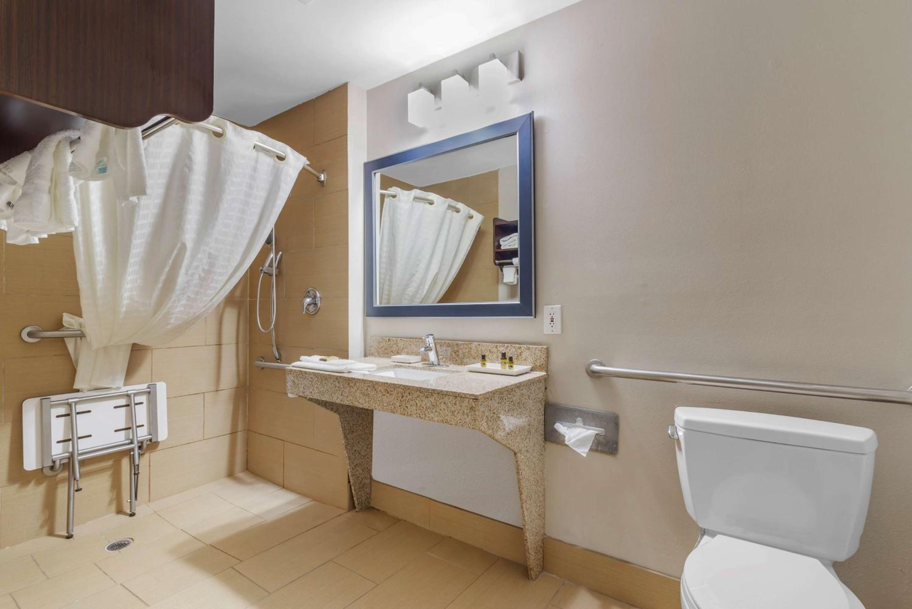 Best Western Plus McDonough Inn & Suites, 사진 3