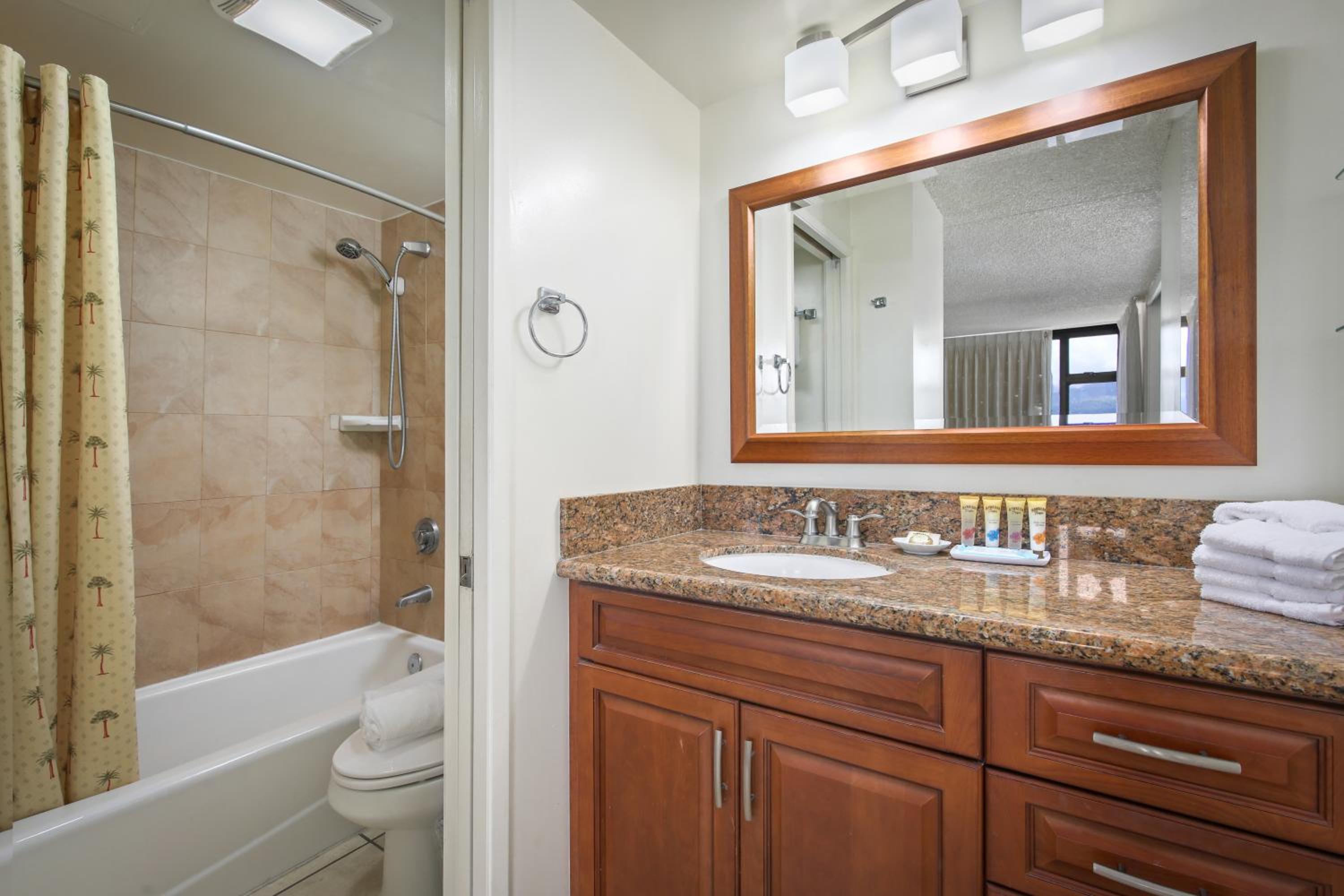 One-Bedroom Suite with Mountain View - Photo 6