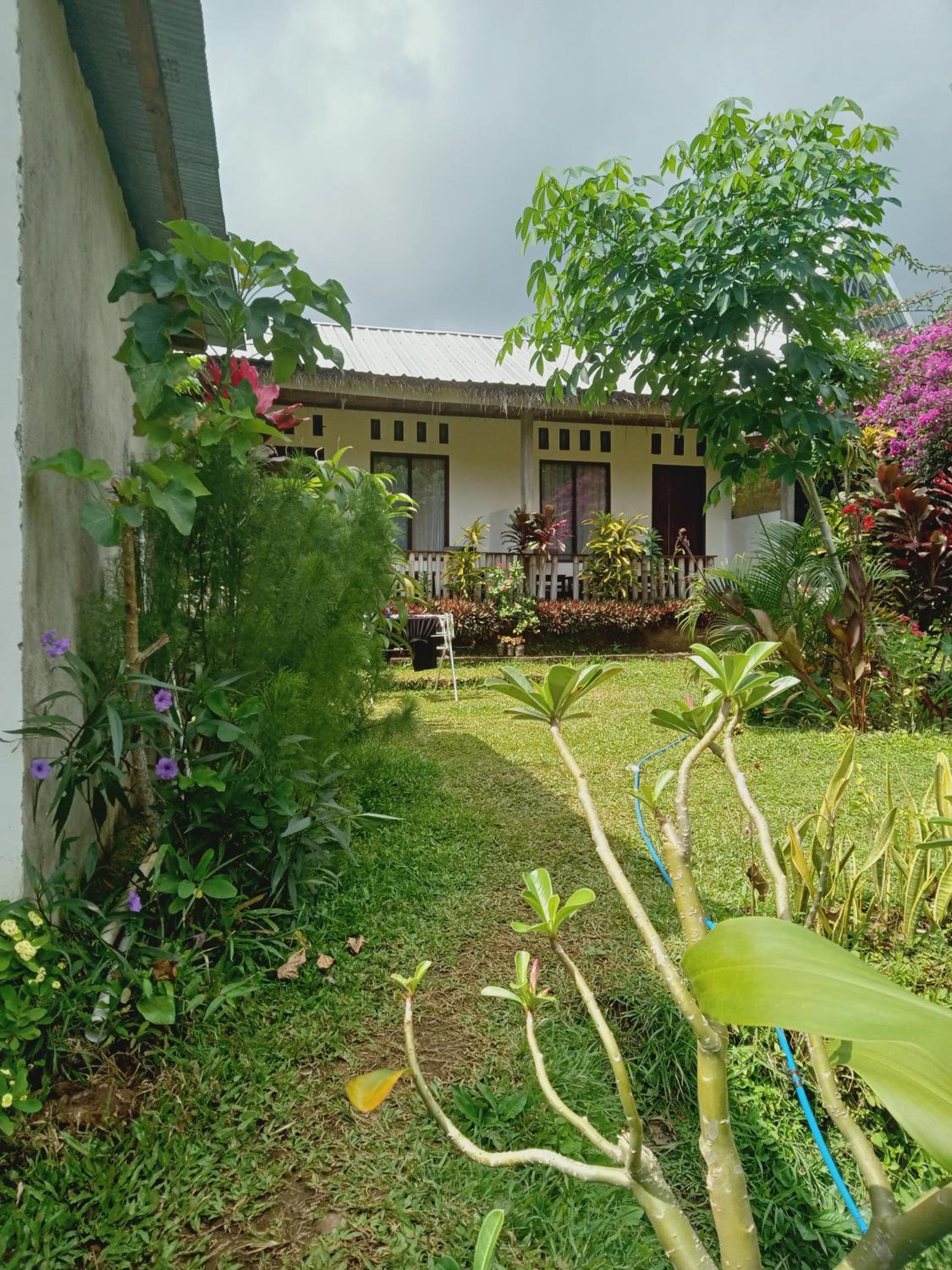 Double Room with Terrace photo 2