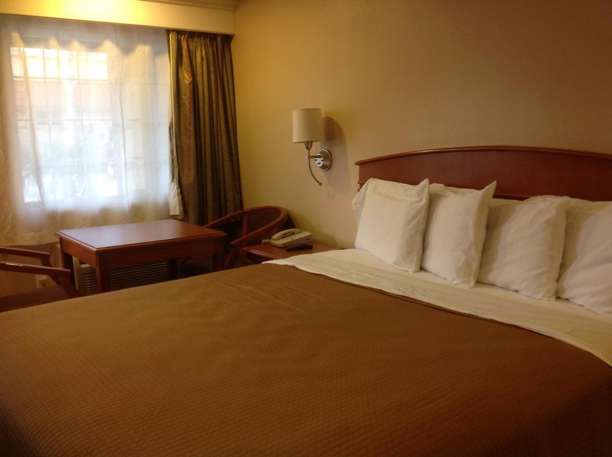 King Room - Photo 4