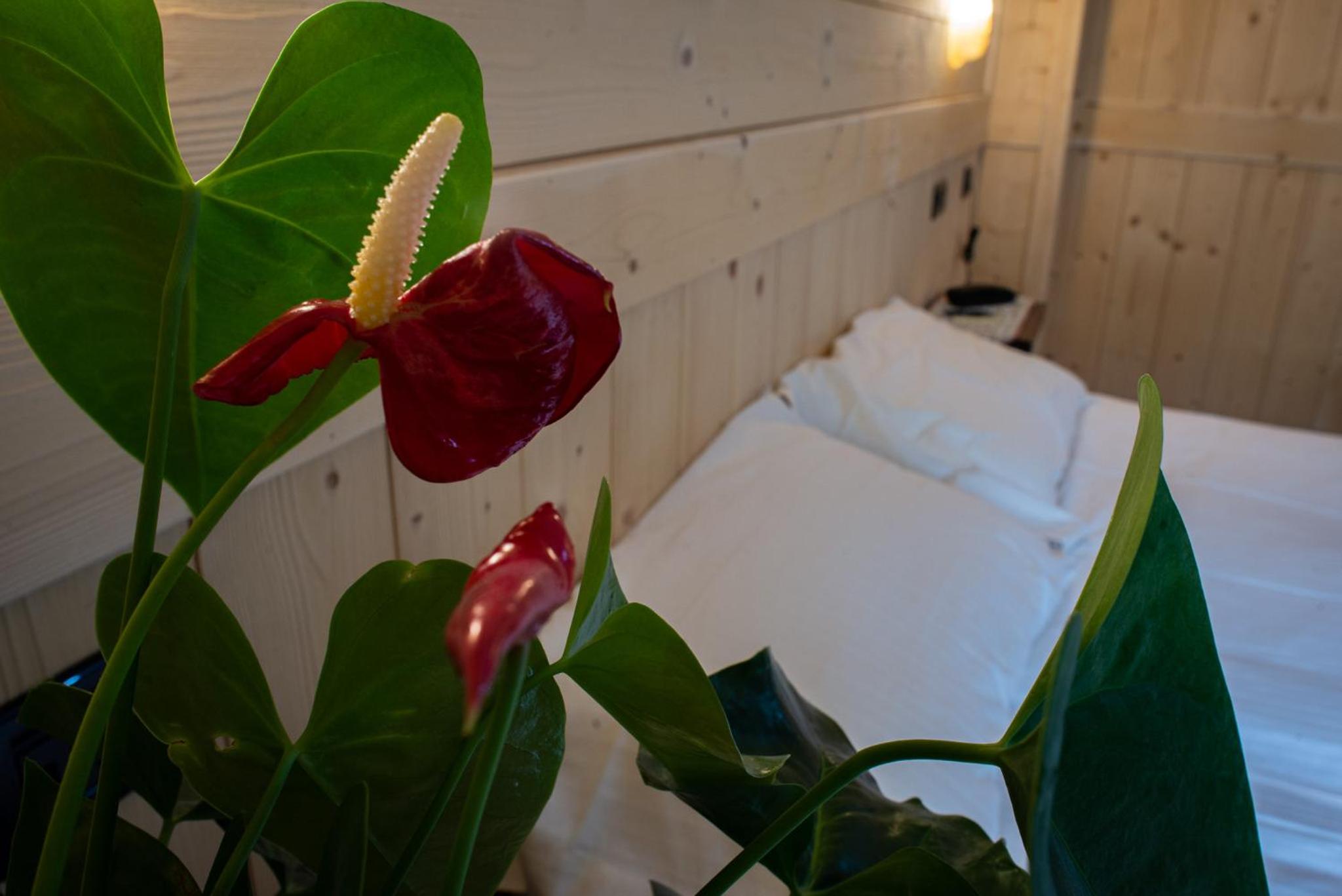 Double Room - Photo 6