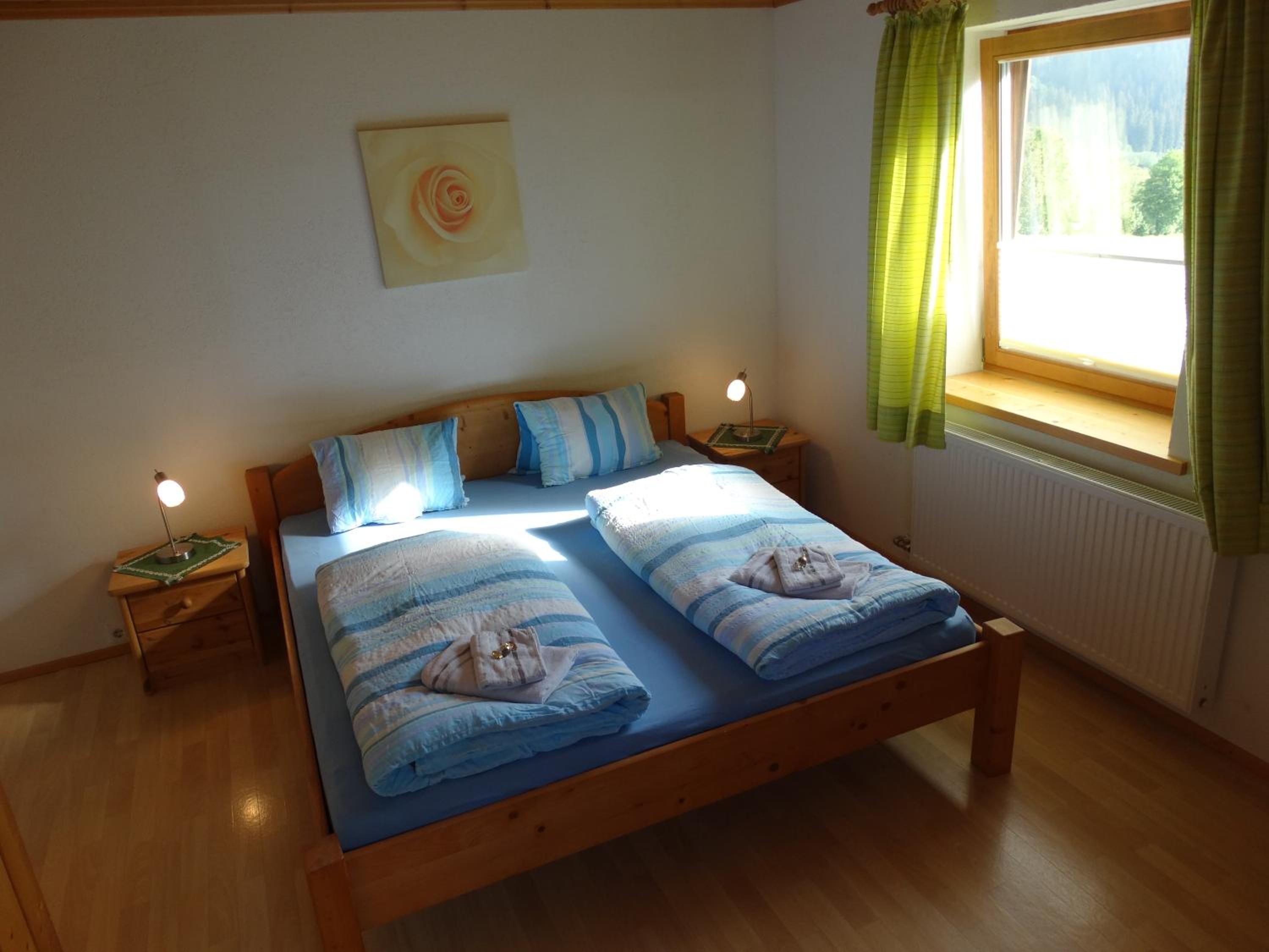 Double Room with Mountain View photo 3