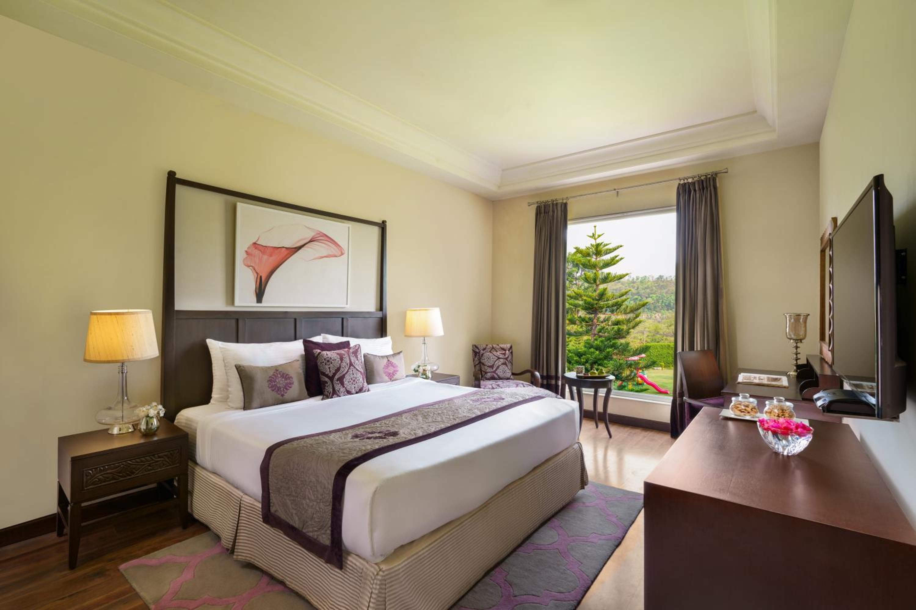 Premium Suite - Photo 1