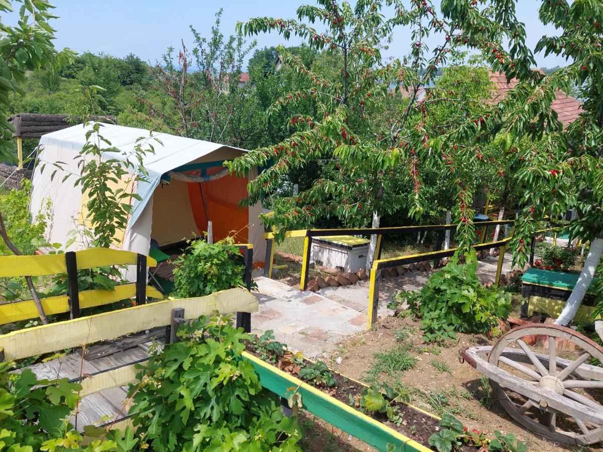 Tent photo 1