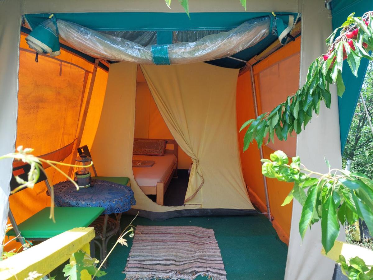 Tent photo 2