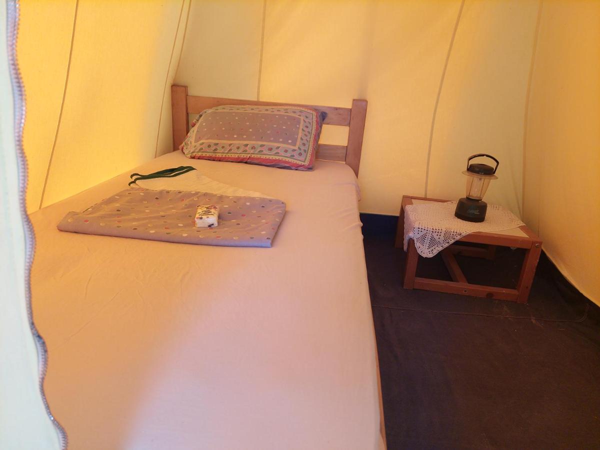 Tent photo 3