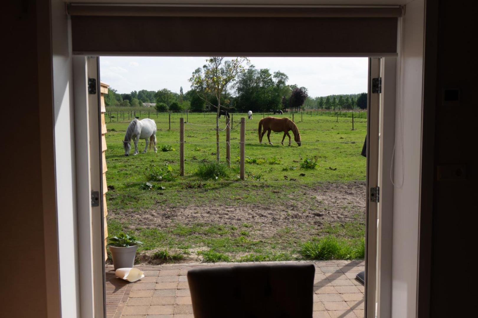 Vacation Home - Photo 4