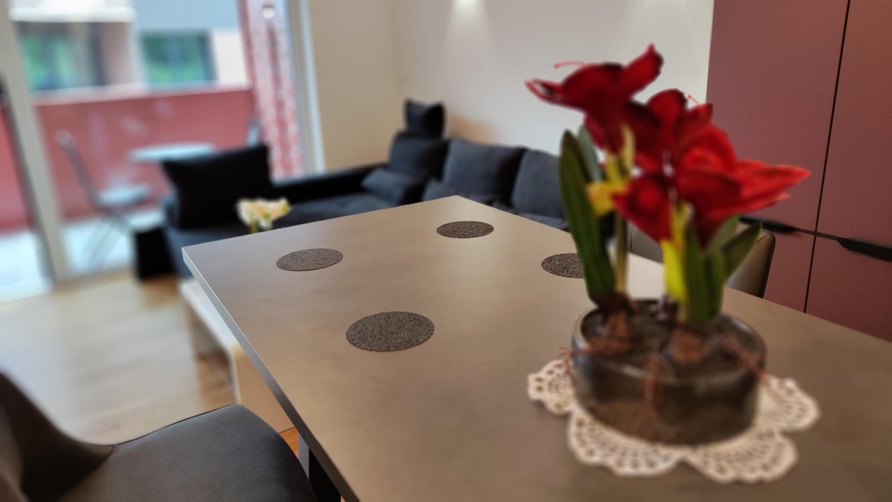 Apartment - Photo 10