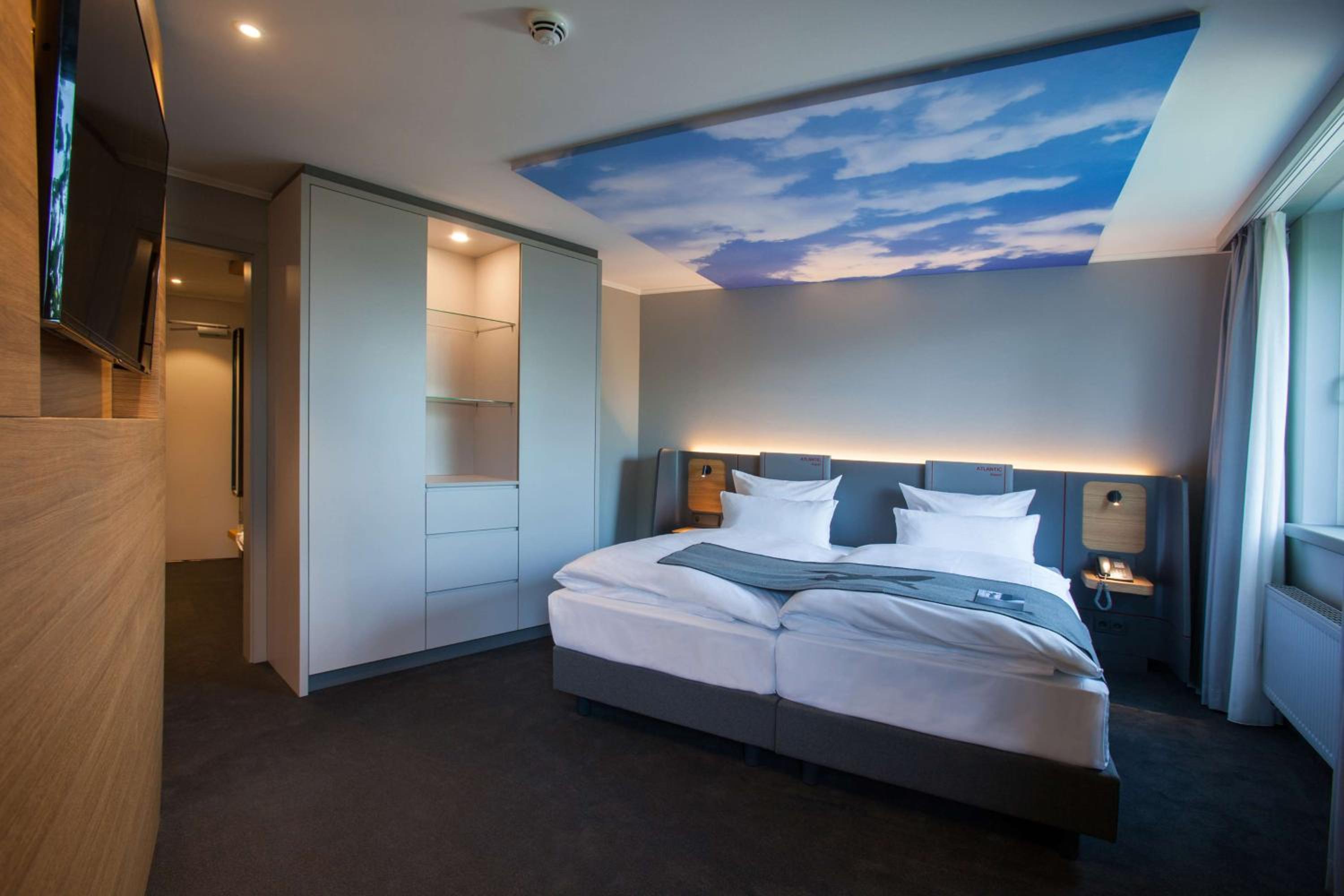 Suite - Photo 1