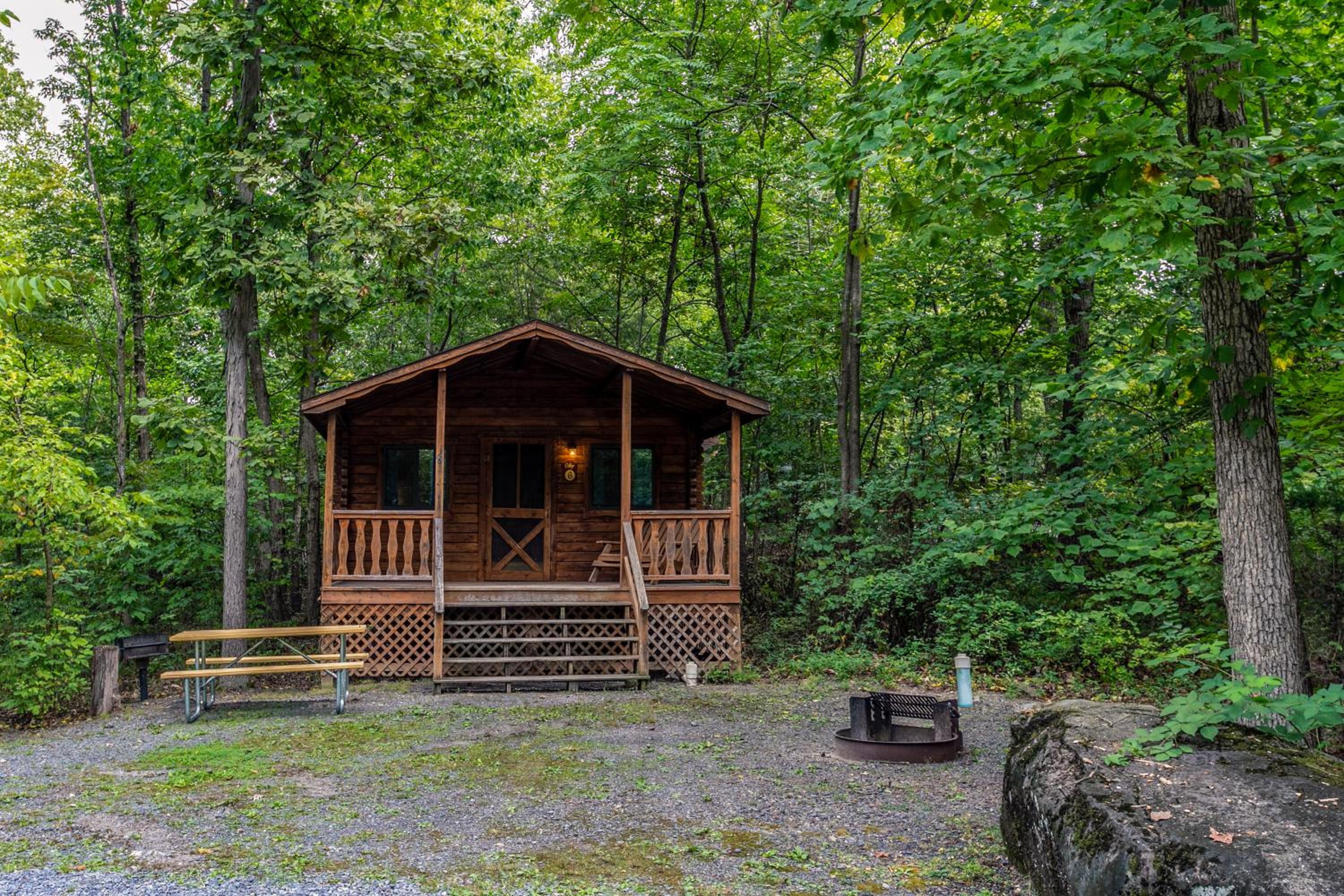 One-Bedroom Cottage BC photo 3