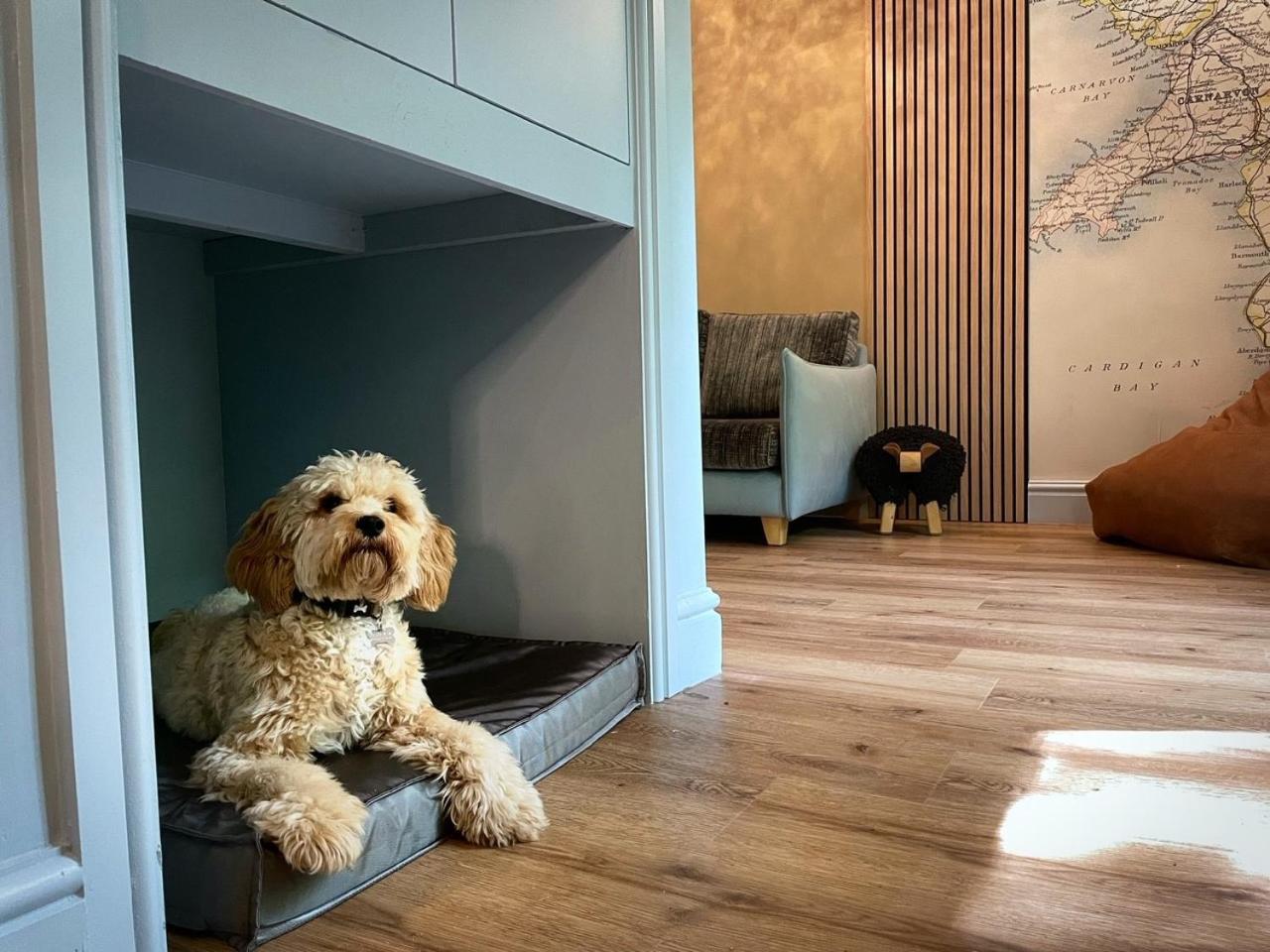 Family Lodge Suite - Photo 4