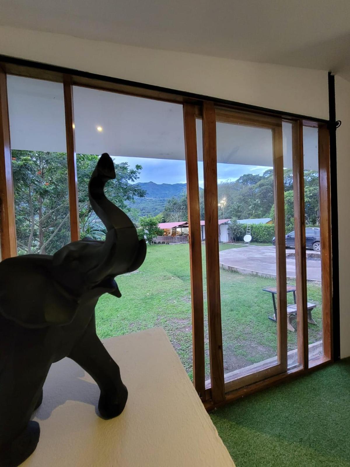 Double Room with Garden View photo 3