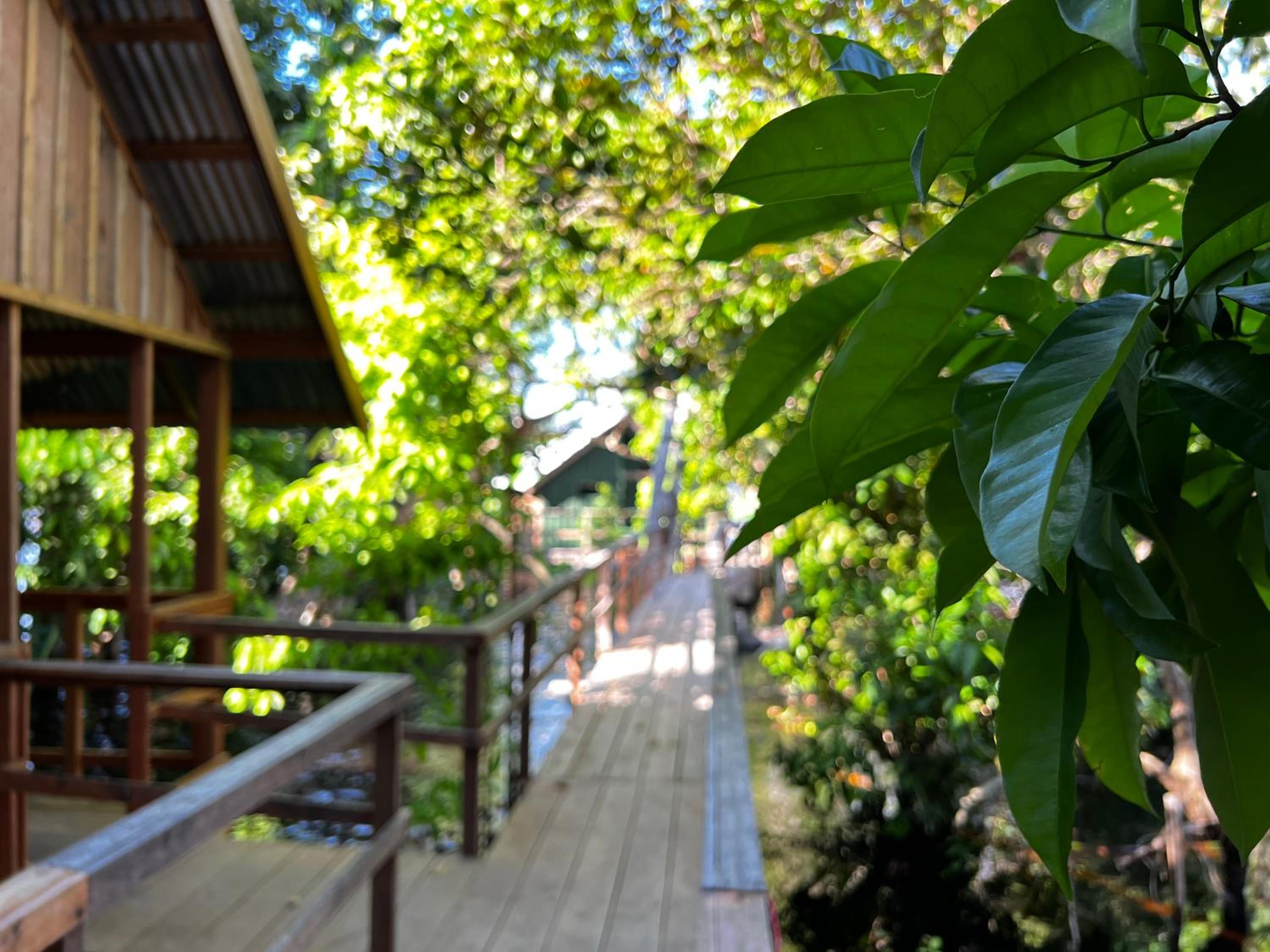Chalet photo 2