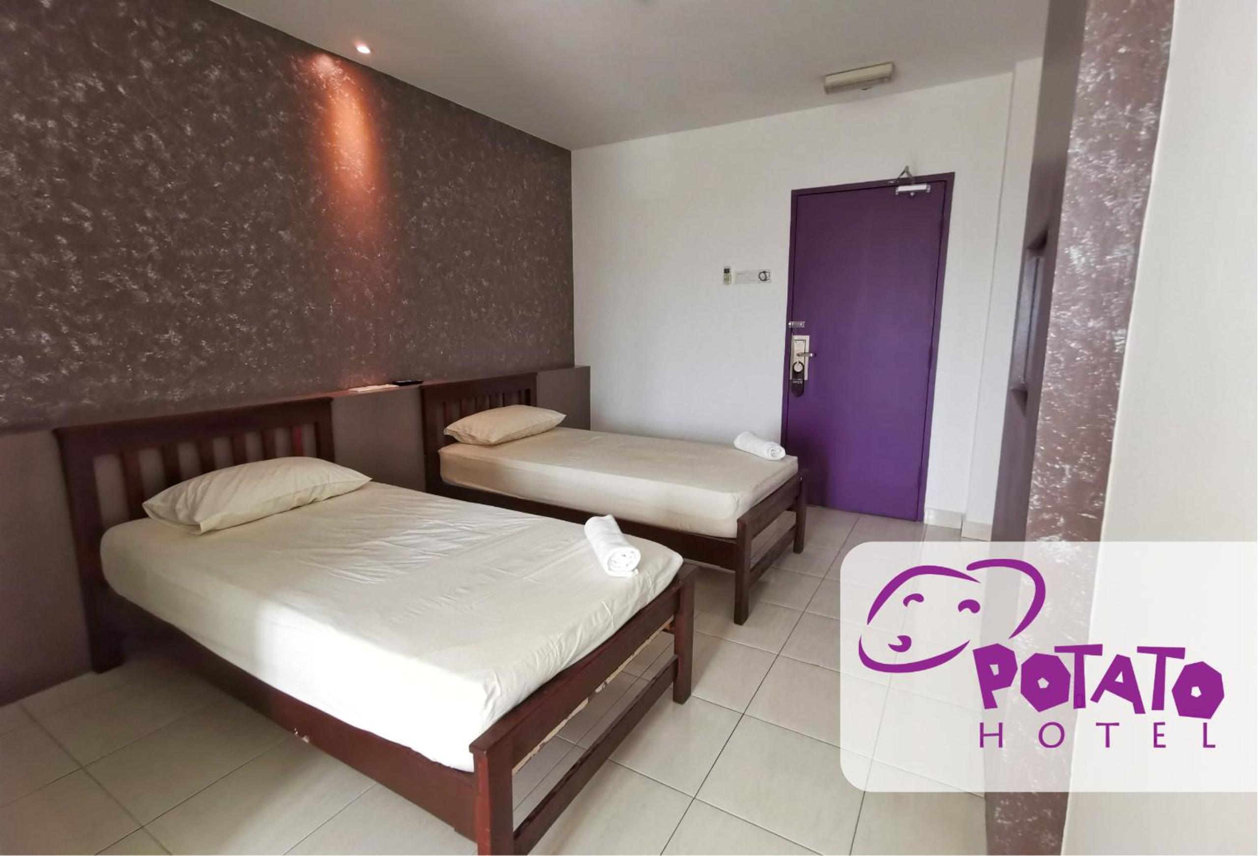 Twin Room photo 2