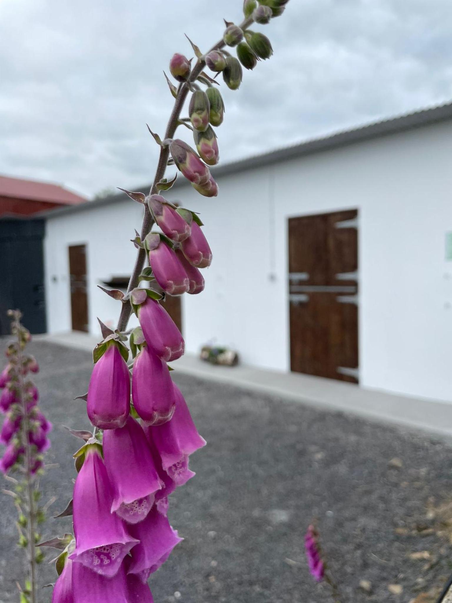 Vacation Home - Photo 67