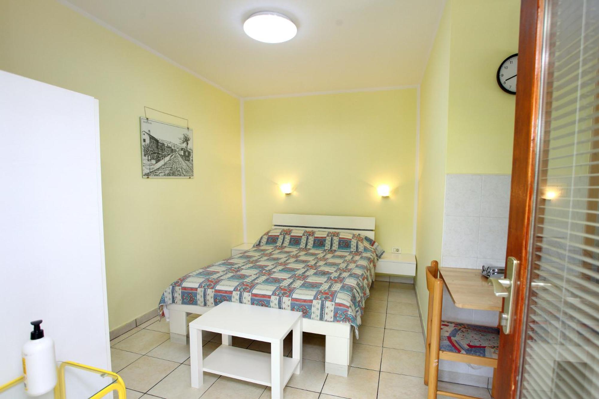 Studio with Terrace photo 1