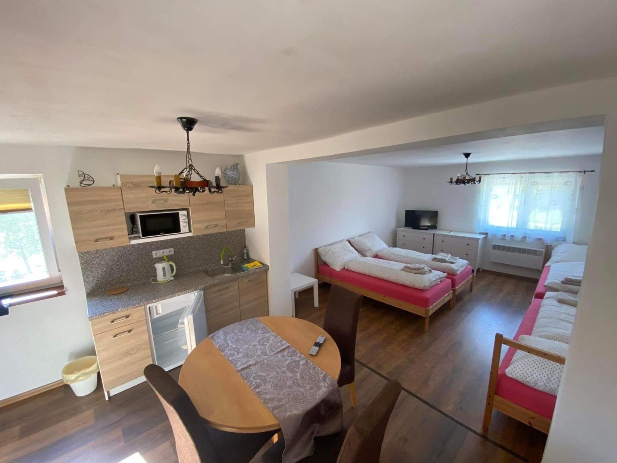 Studio Apartment photo 1