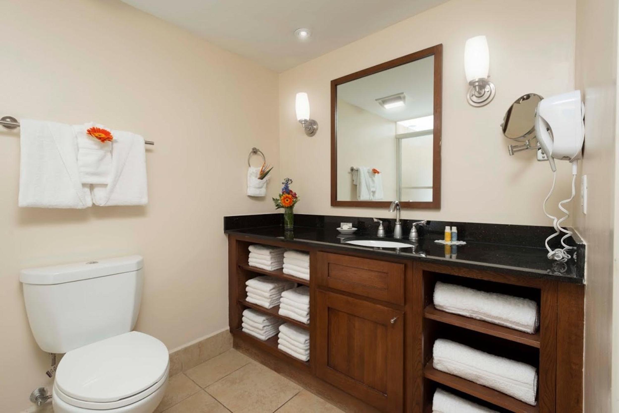 Studio Suite photo 3
