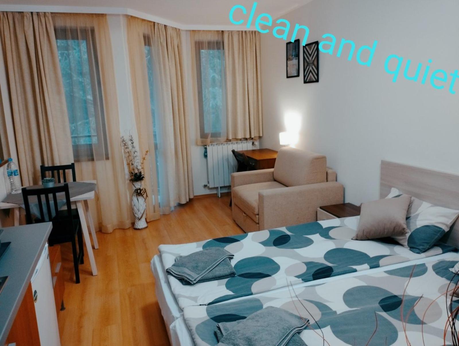 King Studio with Sofa Bed