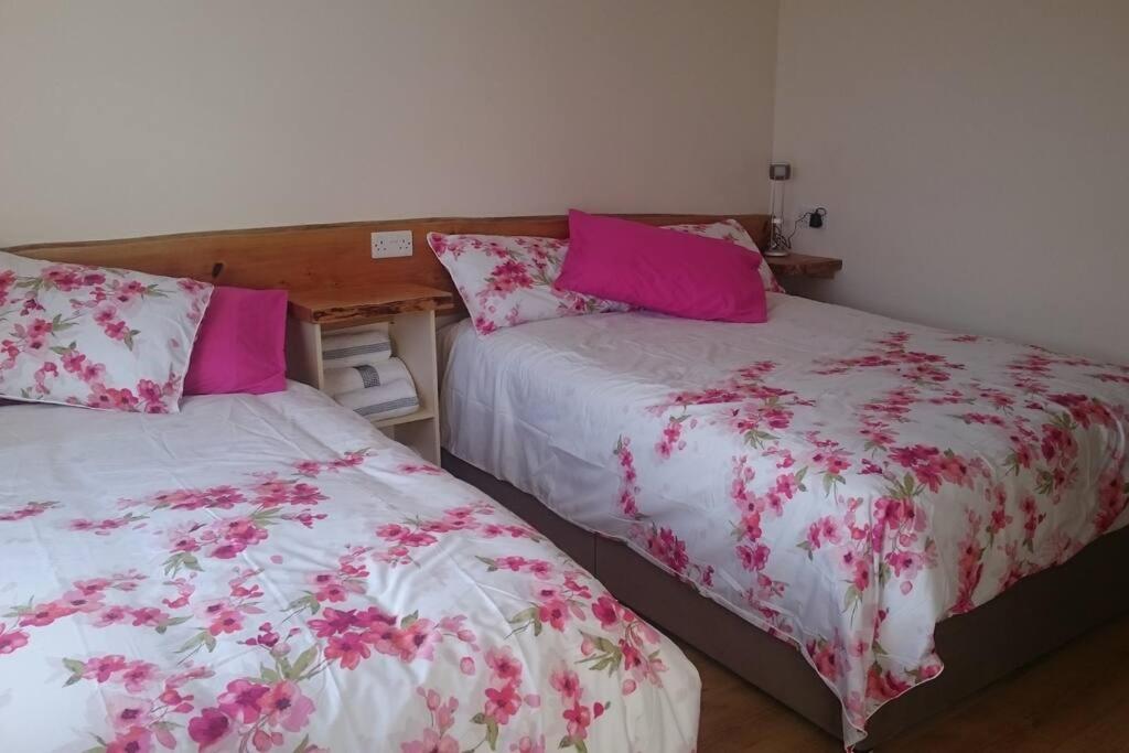 One-Bedroom Apartment - Photo 1