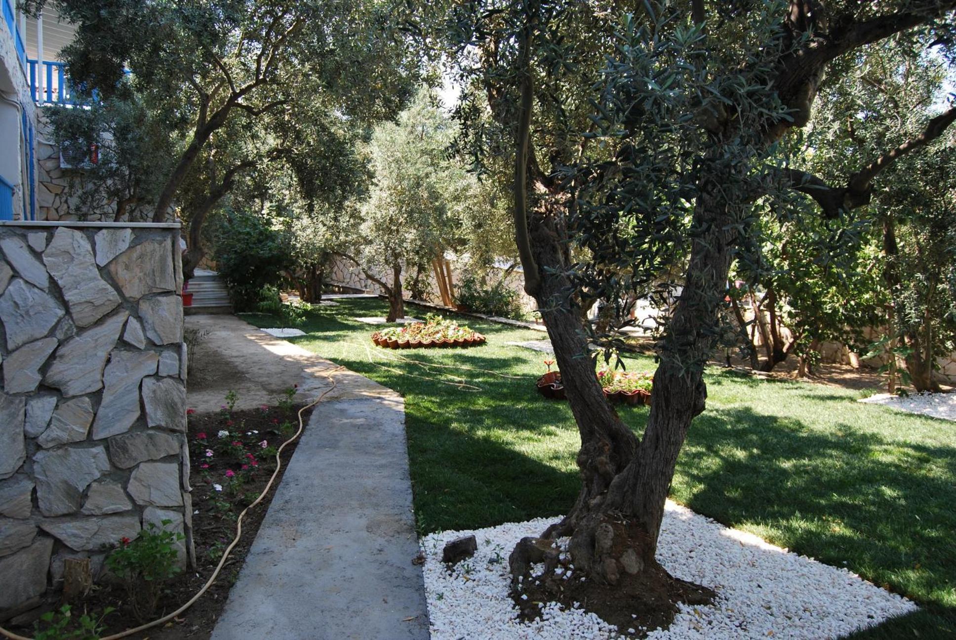 Double Room With Garden View photo 3