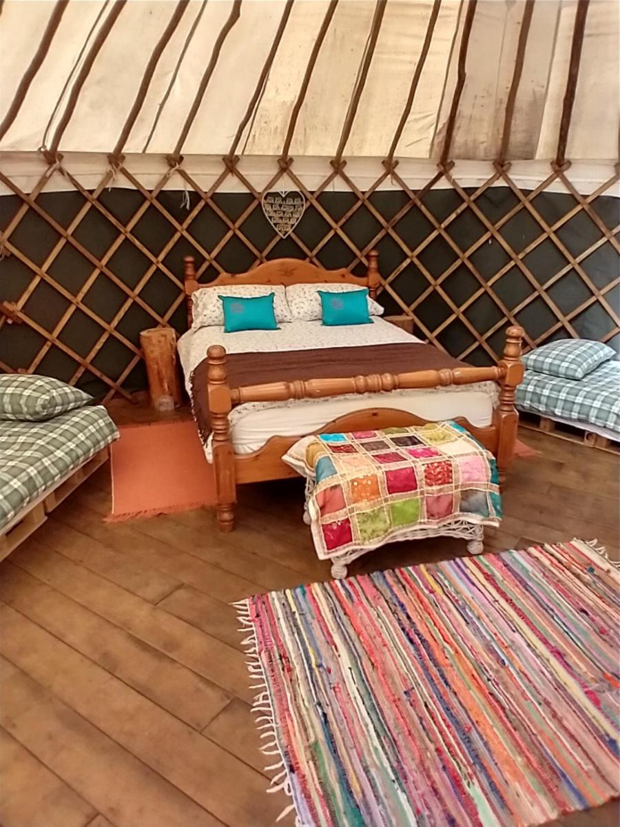 Caravan - Photo 1