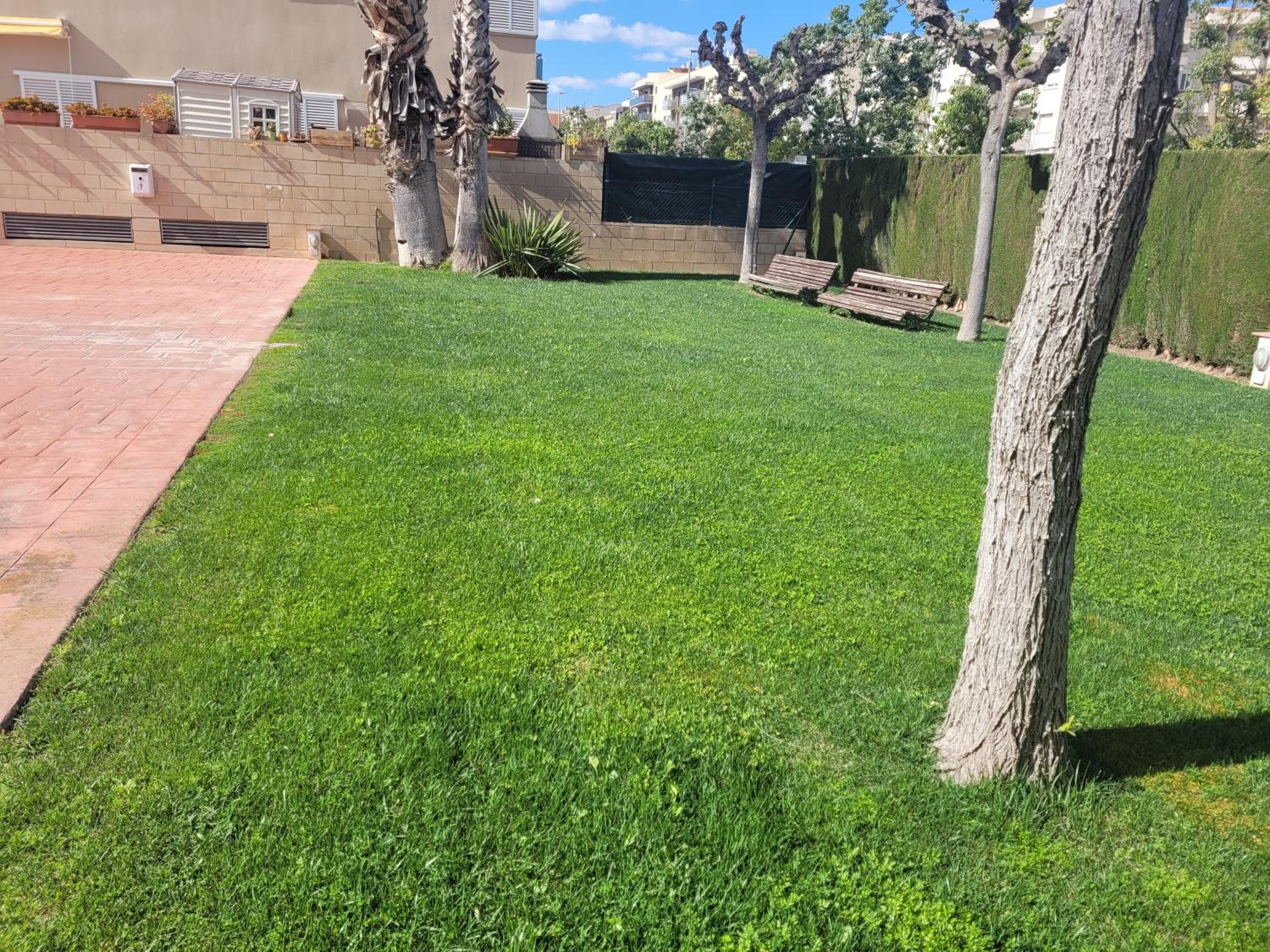 Apartment - Photo 30