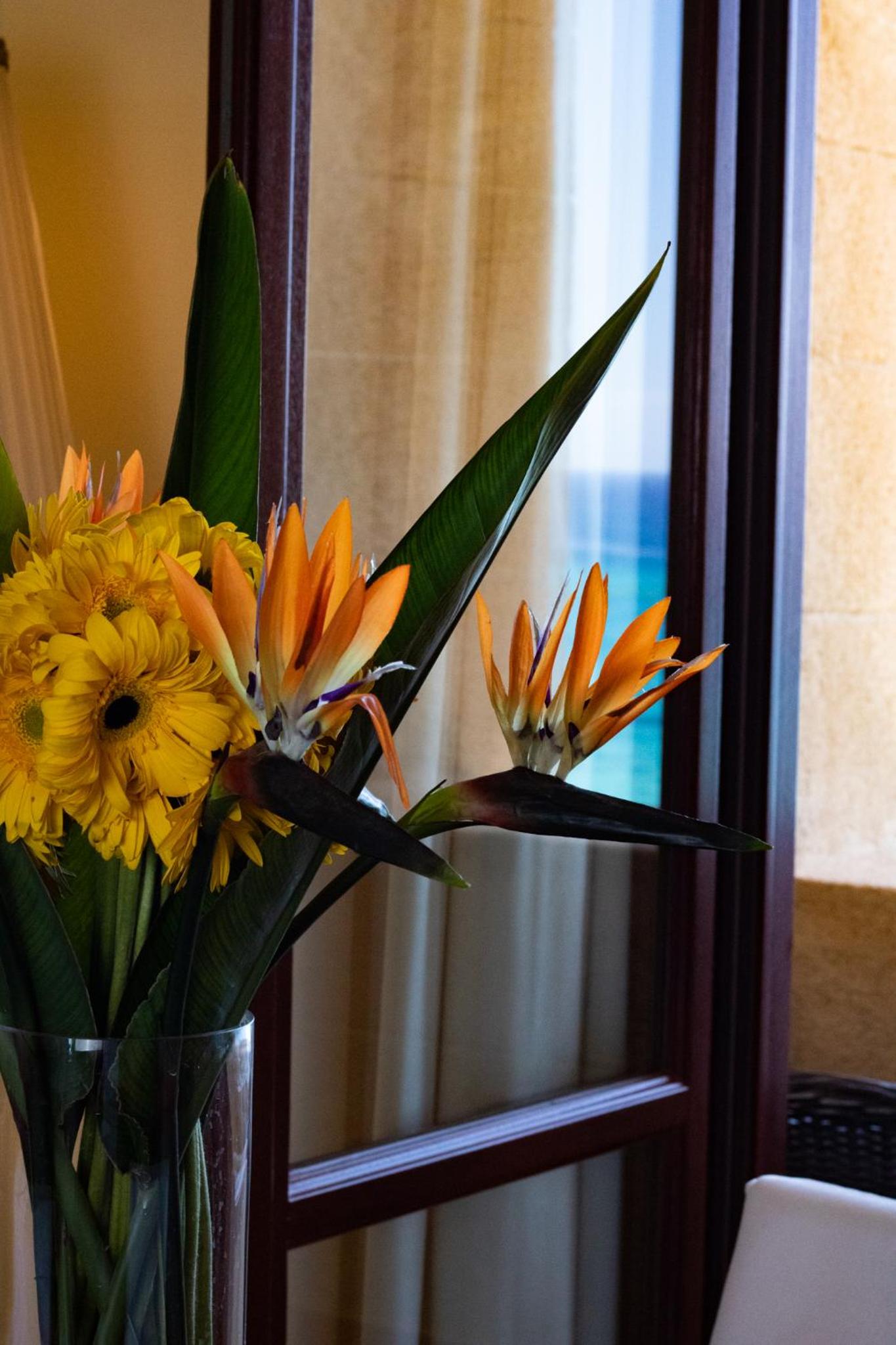 Grand Suite Sea View photo 1
